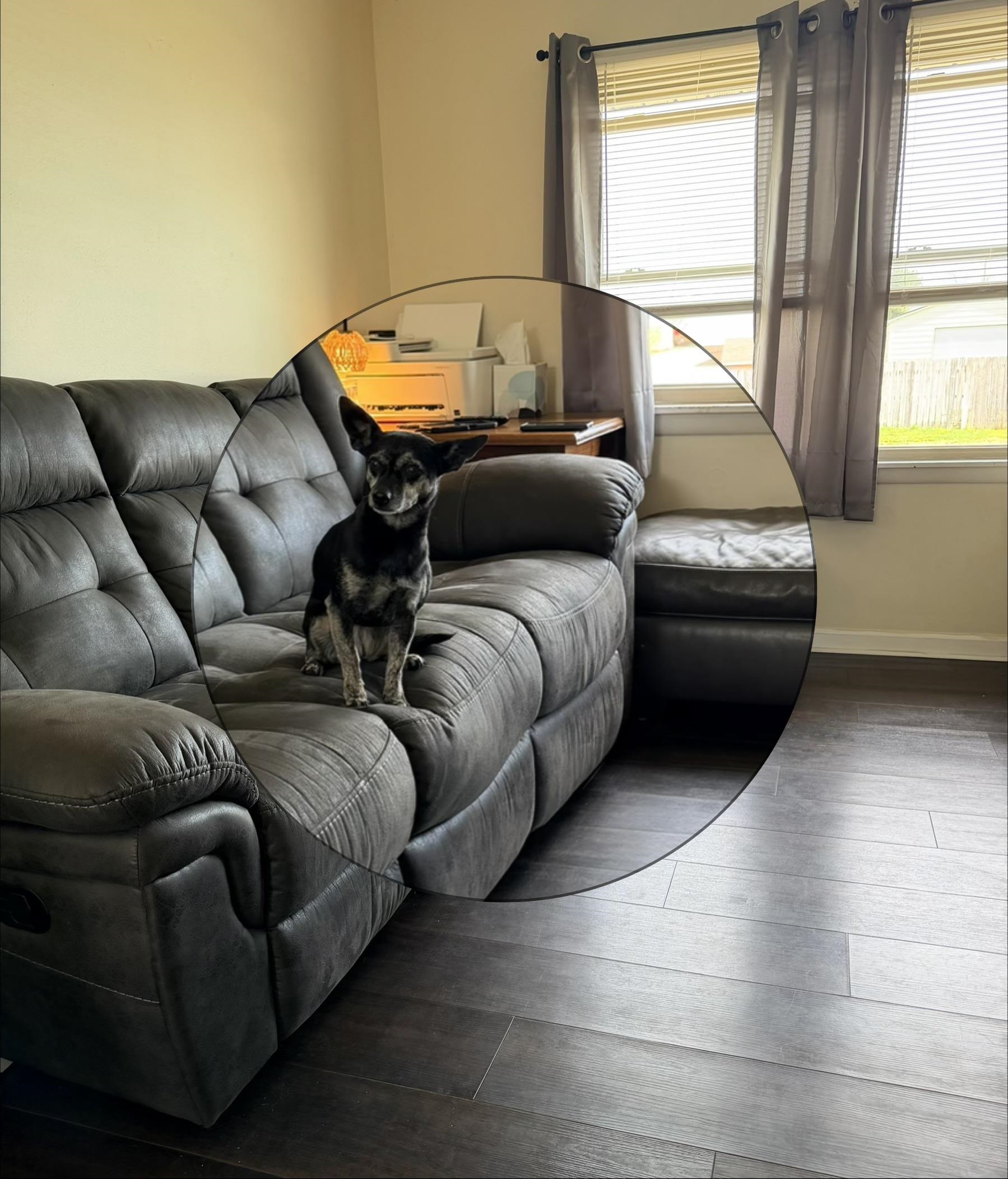 4014 Jefferson St., Owensboro, Kentucky 42303, 3 Bedrooms Bedrooms, ,1 BathroomBathrooms,Single Family Residence,For Sale,Jefferson St.,94461