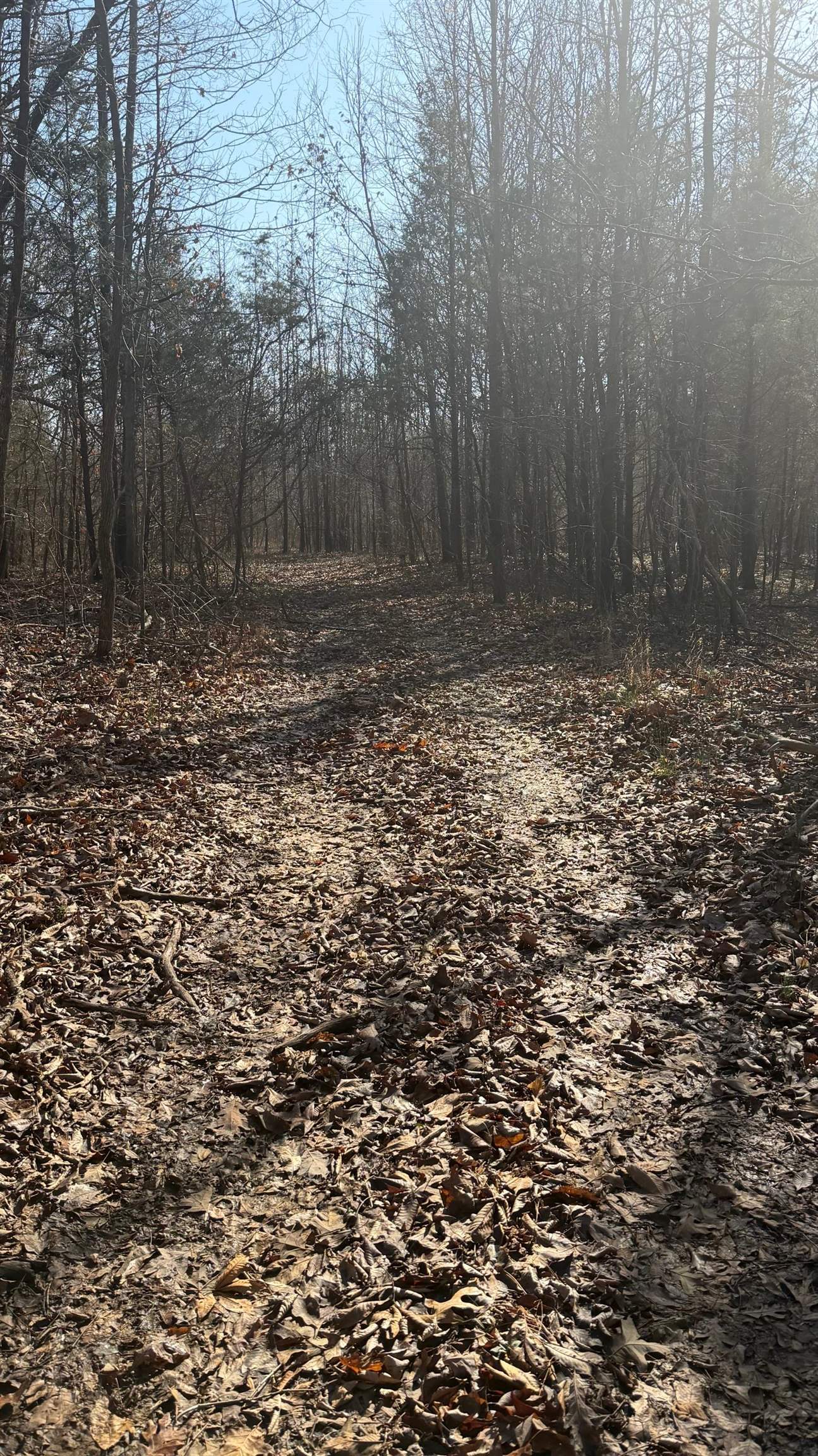 0 Girl Scout Road, Owensboro, Kentucky 42301, ,Land,For Sale,Girl Scout Road,94483