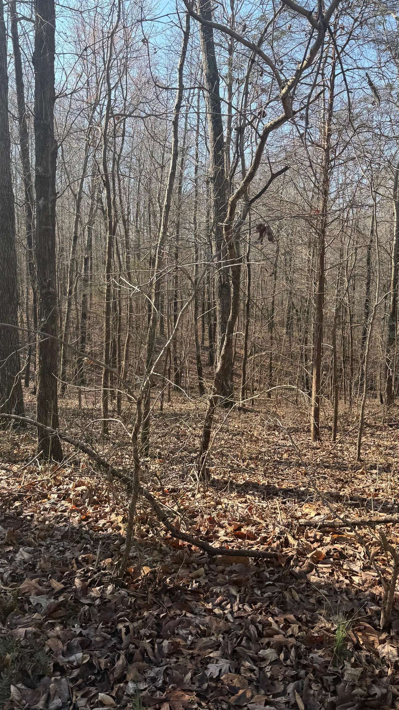 0 Girl Scout Road, Owensboro, Kentucky 42301, ,Land,For Sale,Girl Scout Road,94483