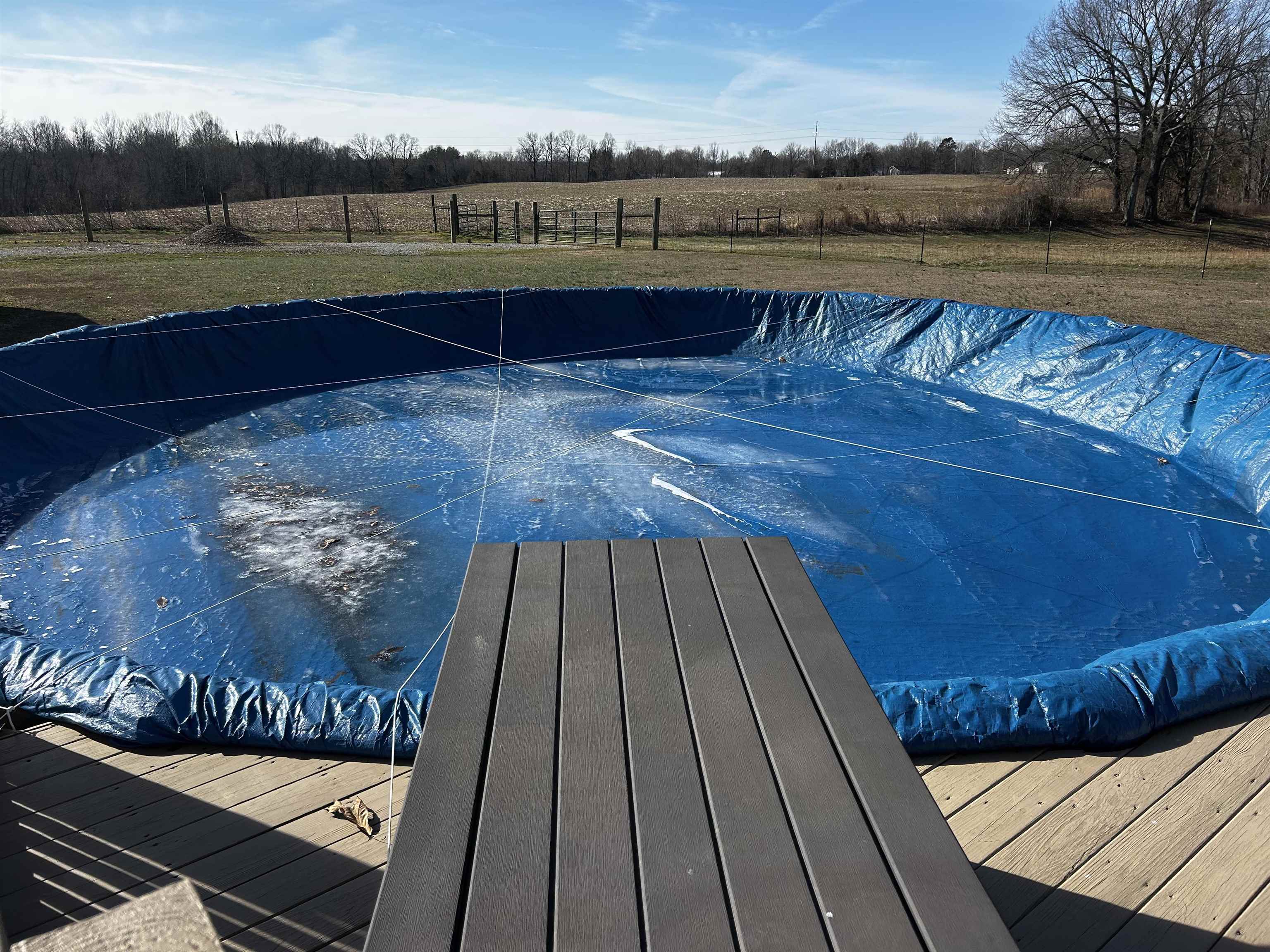 50 Jackson Lane, Beaver Dam, Kentucky 42320, 3 Bedrooms Bedrooms, ,2 BathroomsBathrooms,Farm,For Sale,Jackson Lane,94494