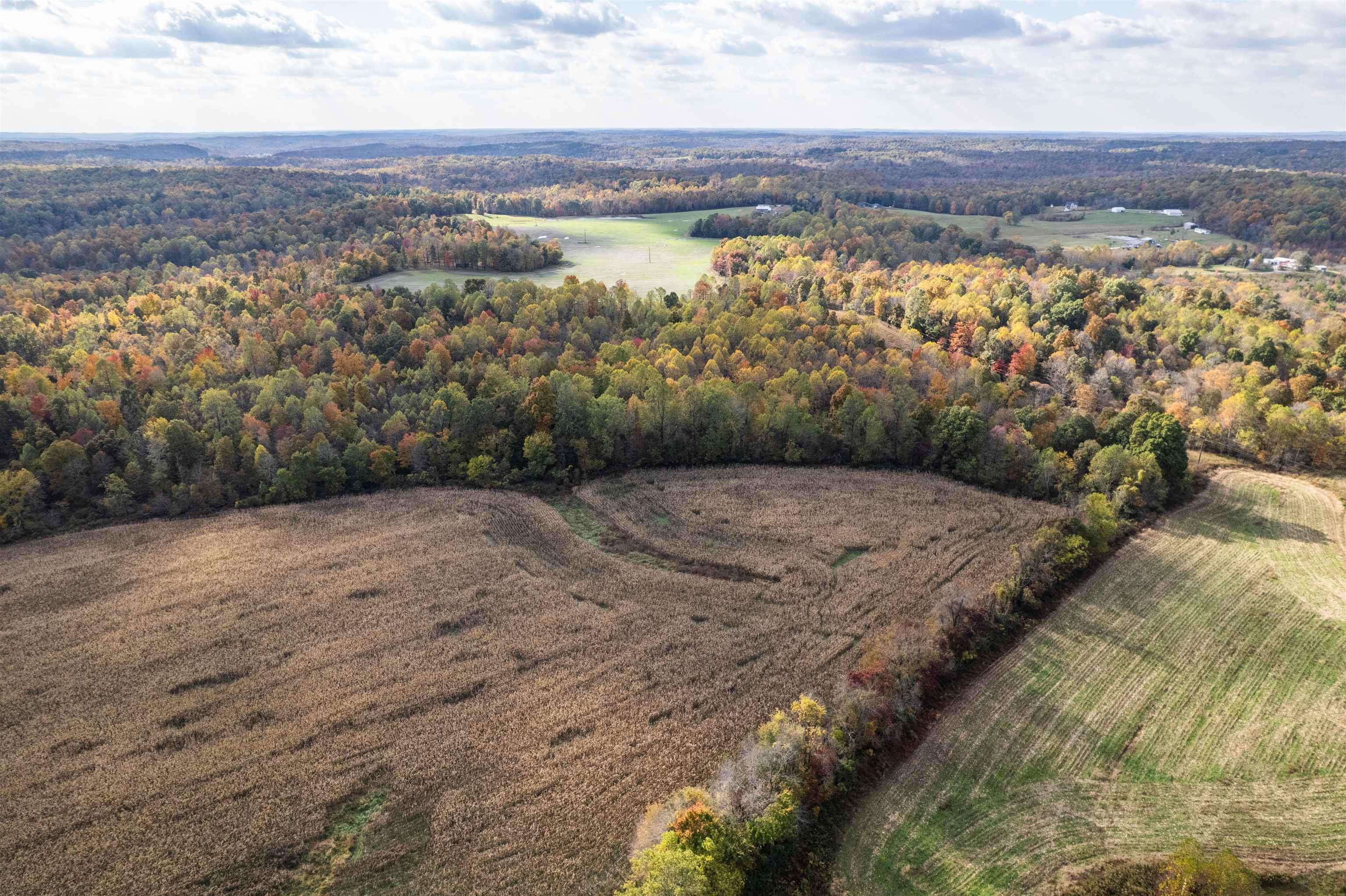 0 Morris Ln, Falls of Rough, Kentucky 40119, ,Land,For Sale,Morris Ln,94504