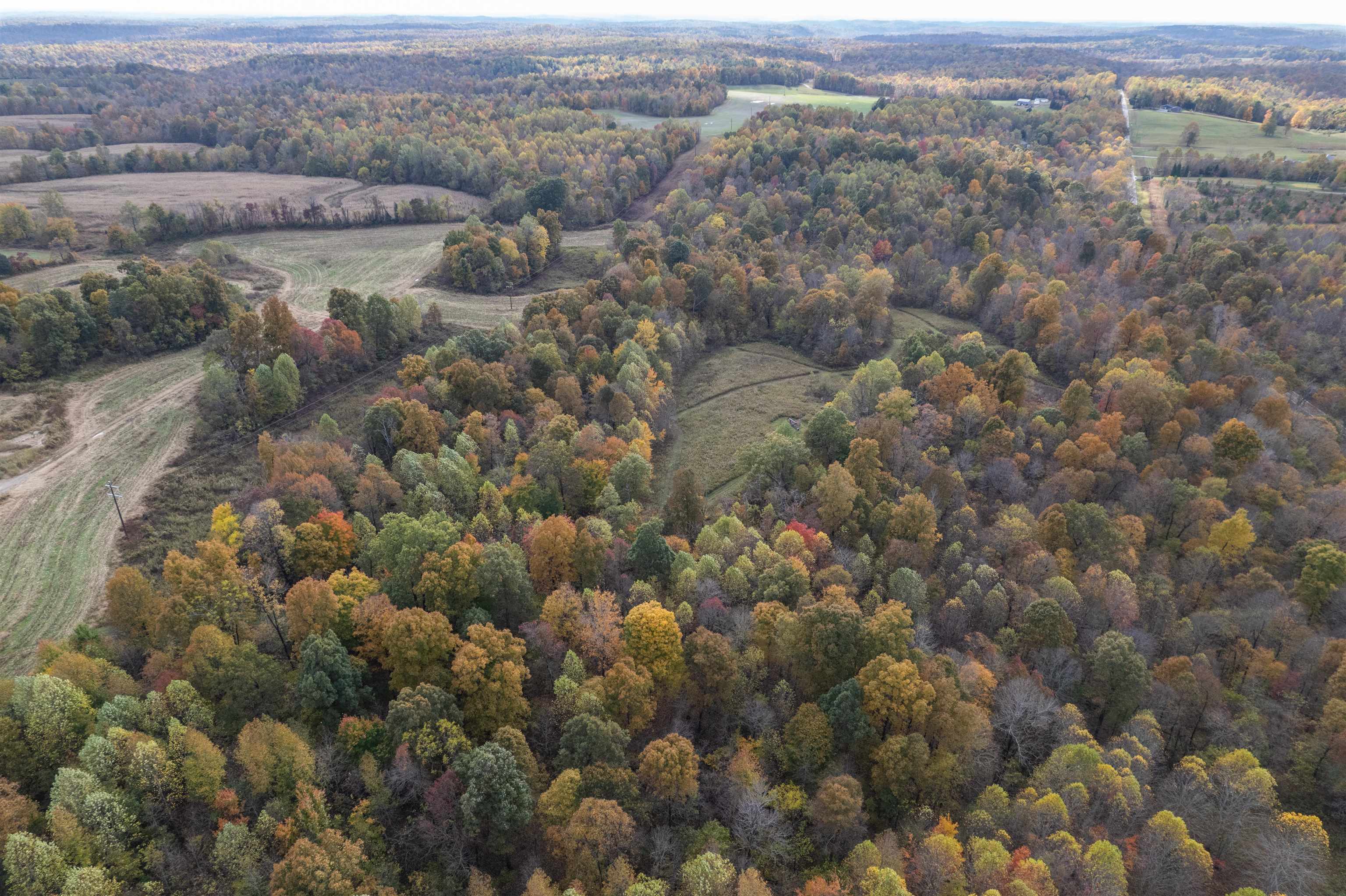 0 Morris Ln, Falls of Rough, Kentucky 40119, ,Land,For Sale,Morris Ln,94504