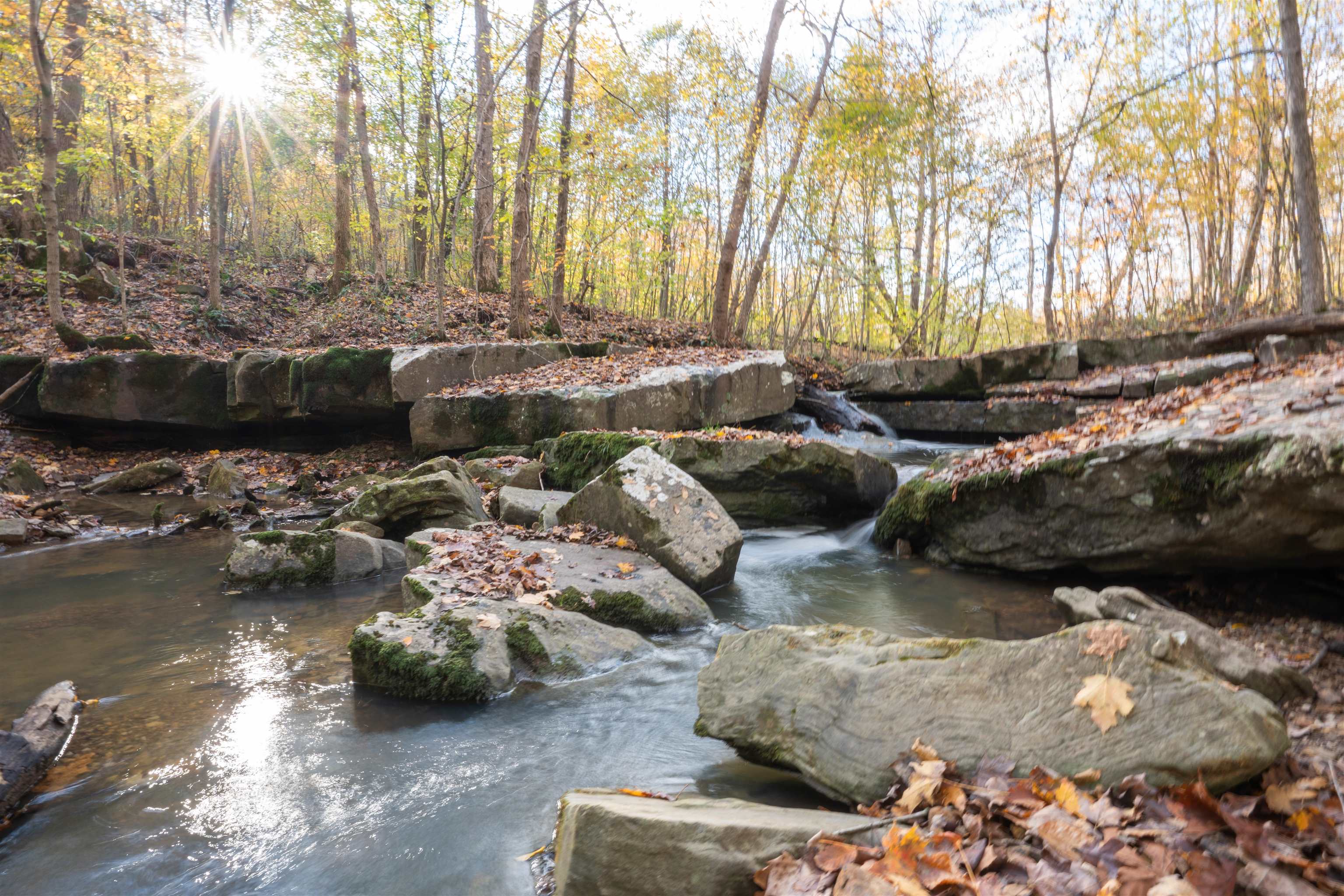 0 Morris Ln, Falls of Rough, Kentucky 40119, ,Land,For Sale,Morris Ln,94504