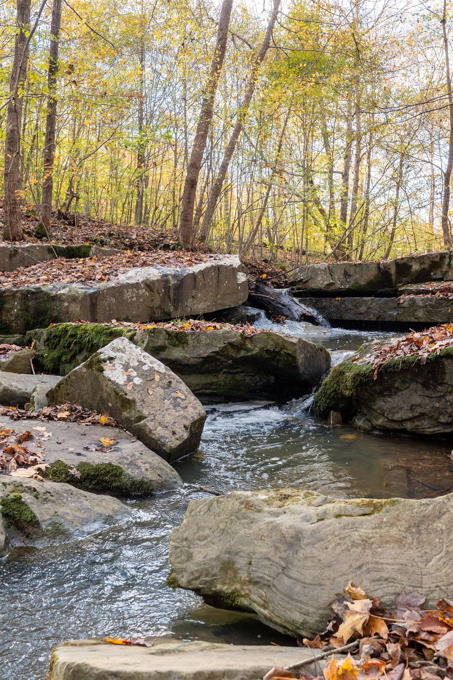 0 Morris Ln, Falls of Rough, Kentucky 40119, ,Land,For Sale,Morris Ln,94504