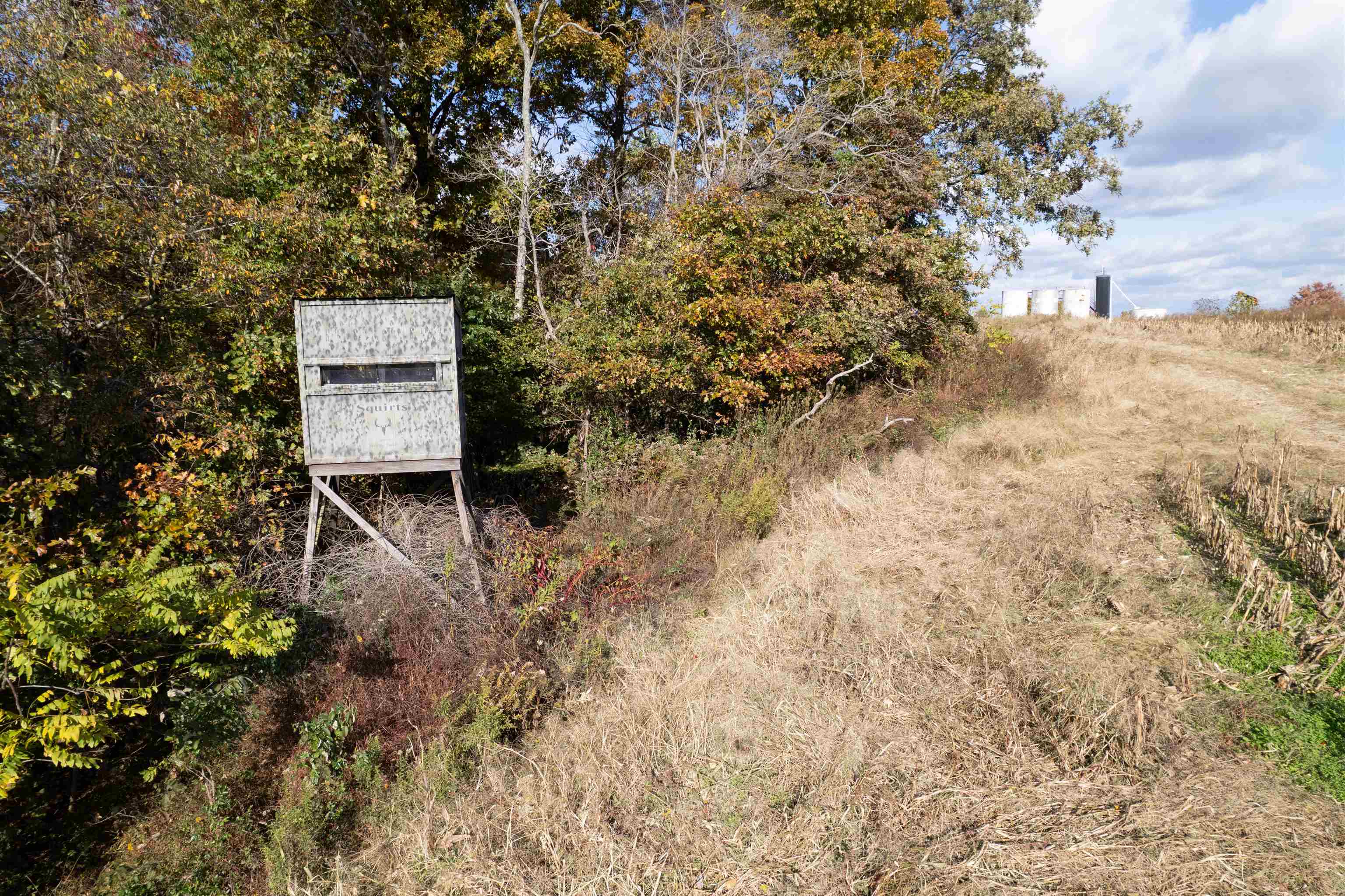 0 Morris Ln, Falls of Rough, Kentucky 40119, ,Land,For Sale,Morris Ln,94504