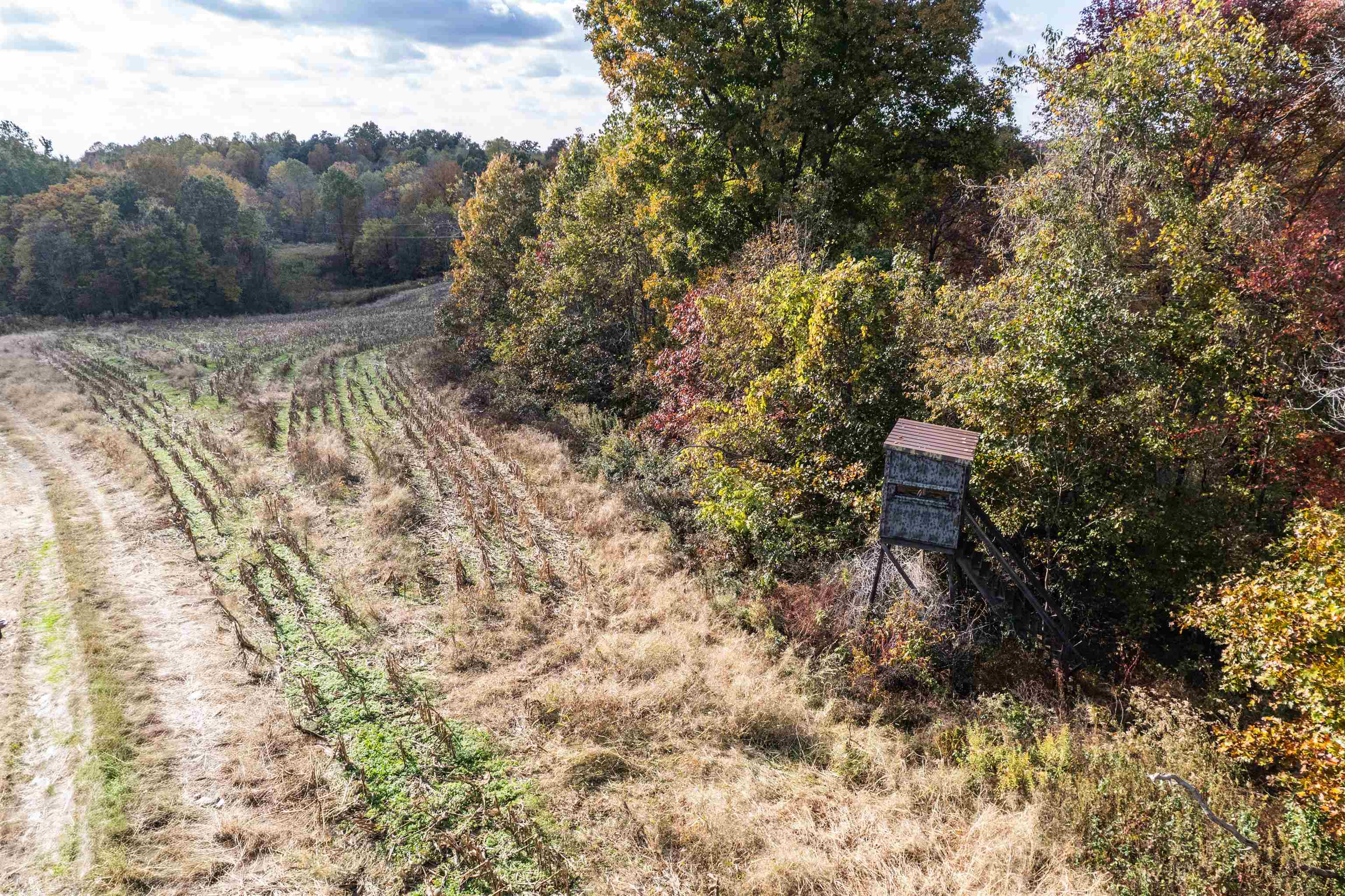 0 Morris Ln, Falls of Rough, Kentucky 40119, ,Land,For Sale,Morris Ln,94504