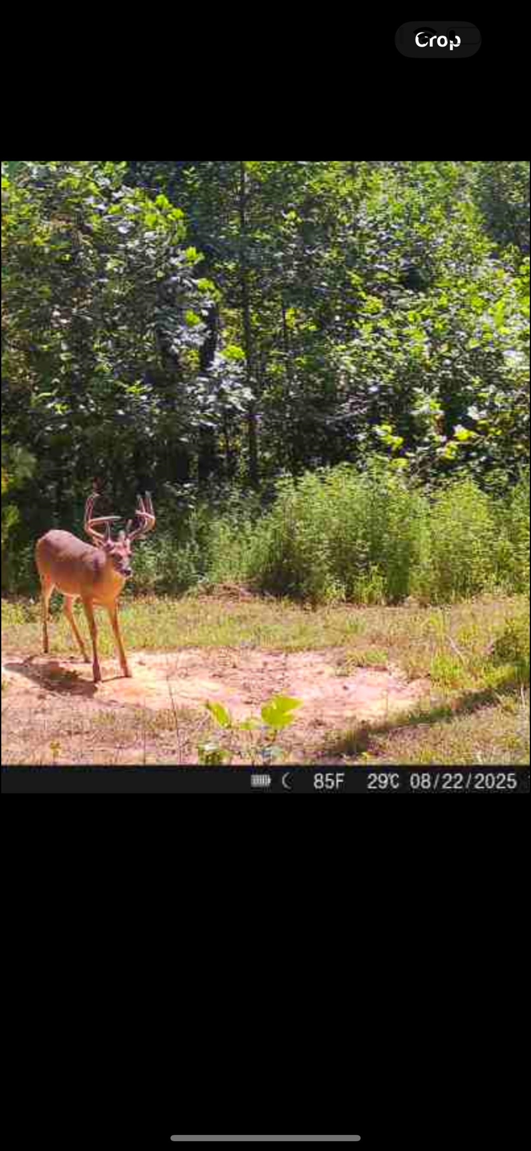 0 Morris Ln, Falls of Rough, Kentucky 40119, ,Land,For Sale,Morris Ln,94504