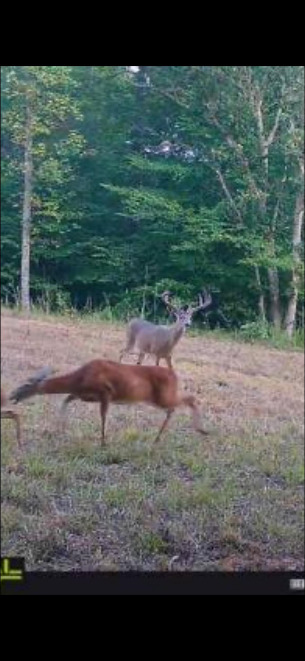 0 Morris Ln, Falls of Rough, Kentucky 40119, ,Land,For Sale,Morris Ln,94504