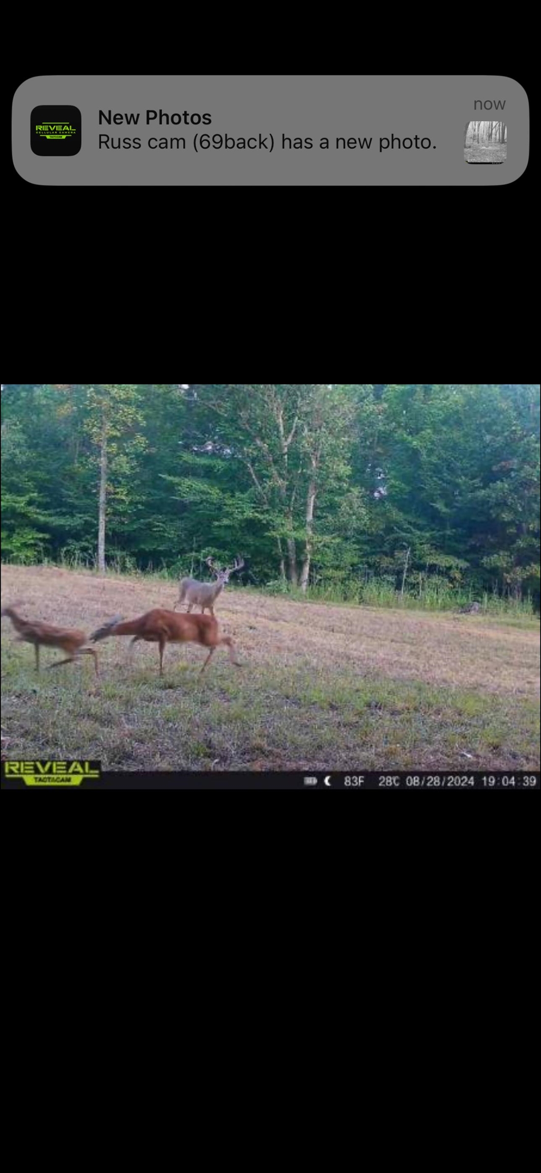 0 Morris Ln, Falls of Rough, Kentucky 40119, ,Land,For Sale,Morris Ln,94504