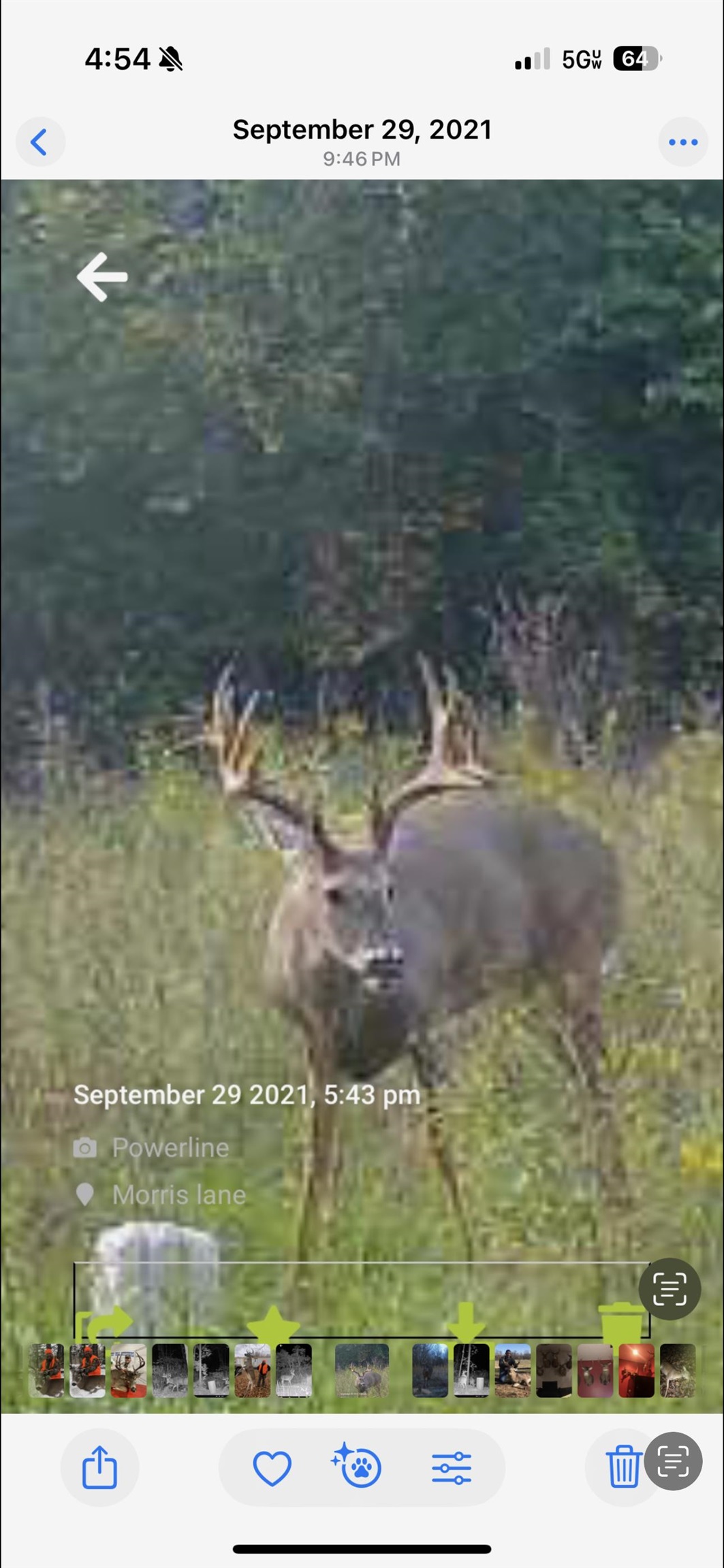 0 Morris Ln, Falls of Rough, Kentucky 40119, ,Land,For Sale,Morris Ln,94504