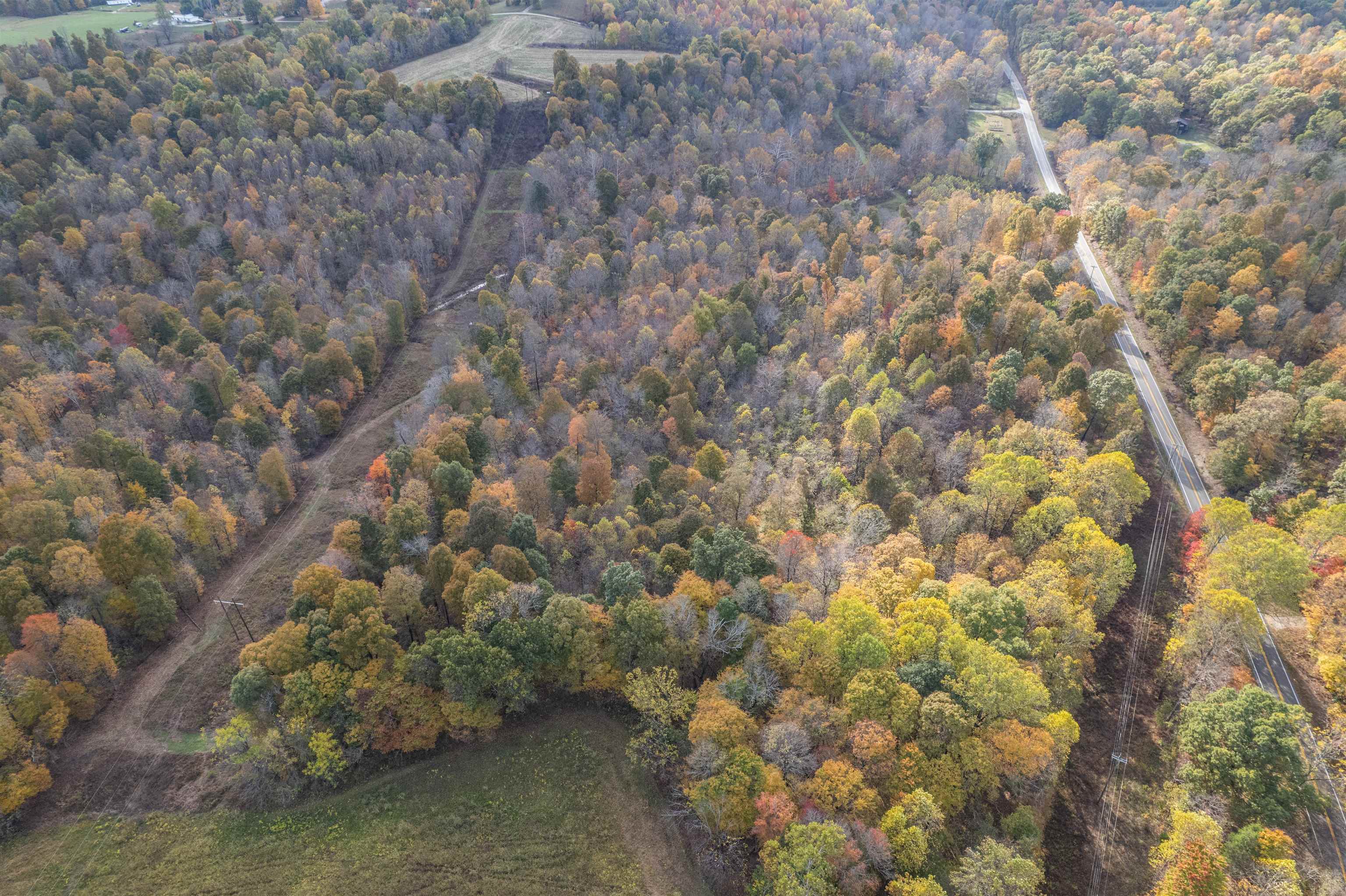 0 Morris Ln, Falls of Rough, Kentucky 40119, ,Land,For Sale,Morris Ln,94504