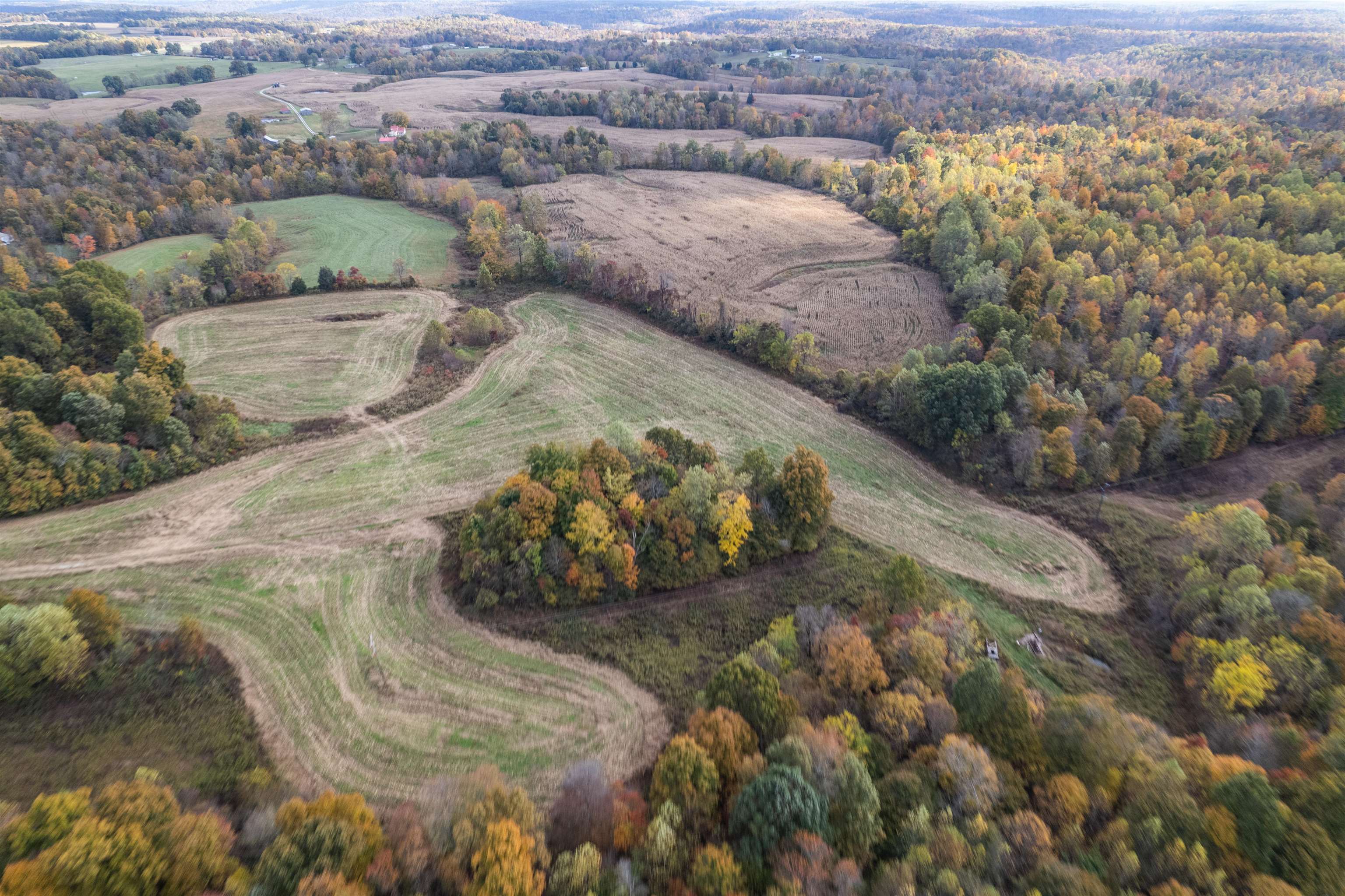 0 Morris Ln, Falls of Rough, Kentucky 40119, ,Land,For Sale,Morris Ln,94504