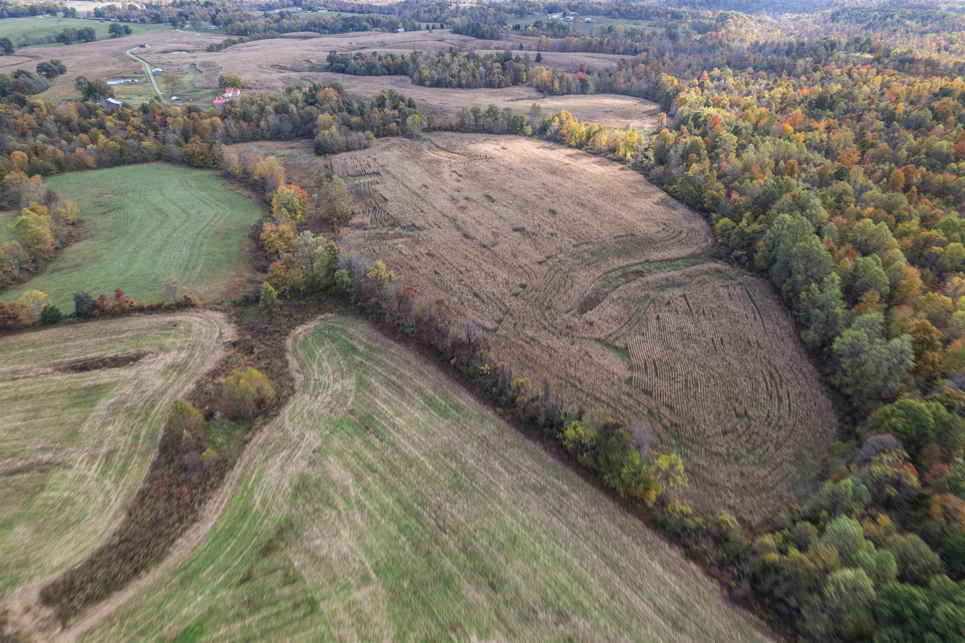 0 Morris Ln, Falls of Rough, Kentucky 40119, ,Land,For Sale,Morris Ln,94504