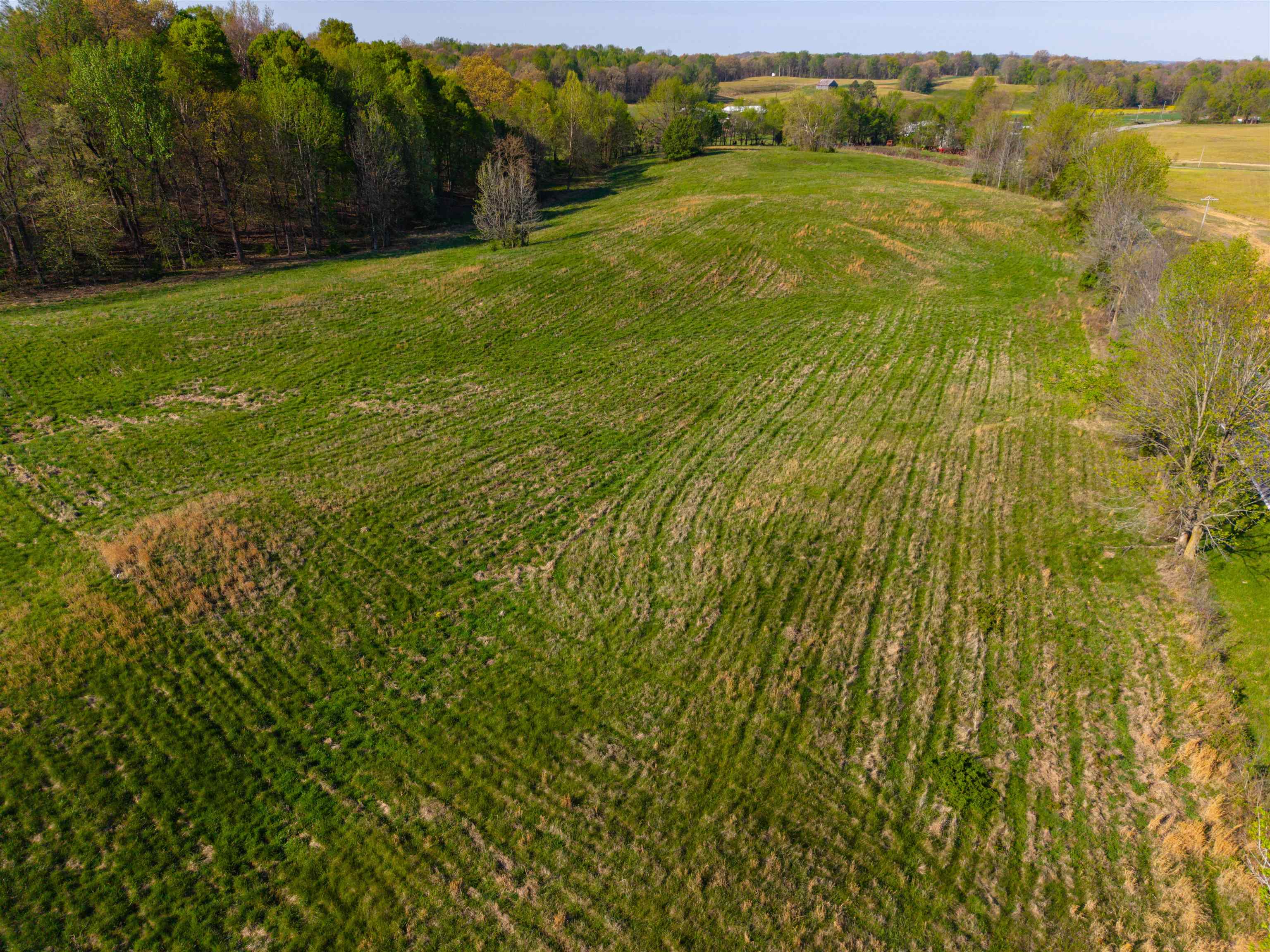 0000 KY-56, Calhoun, Kentucky 42327, ,Land,For Sale,KY-56,94576