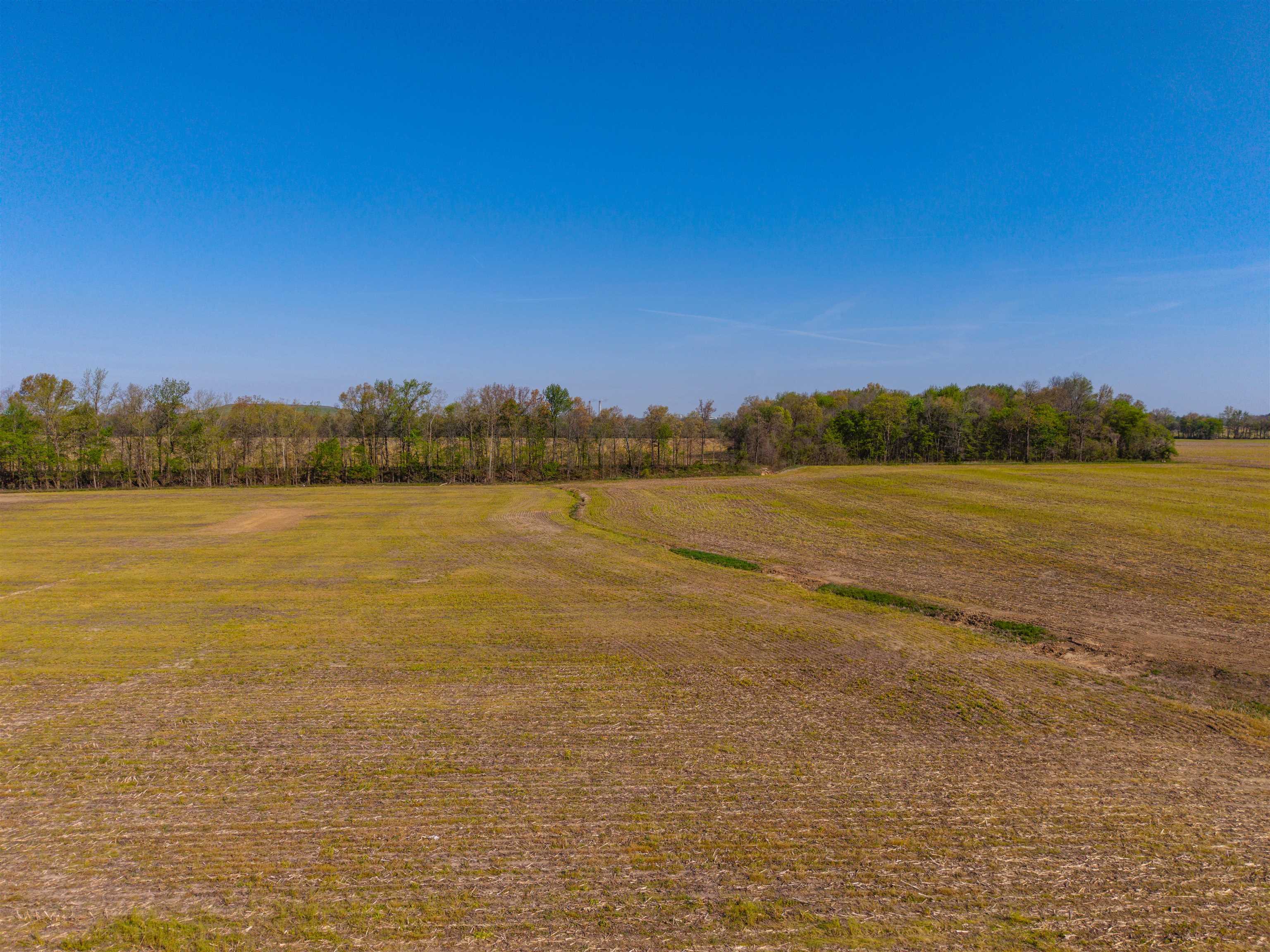 0000 KY-56, Calhoun, Kentucky 42327, ,Land,For Sale,KY-56,94577