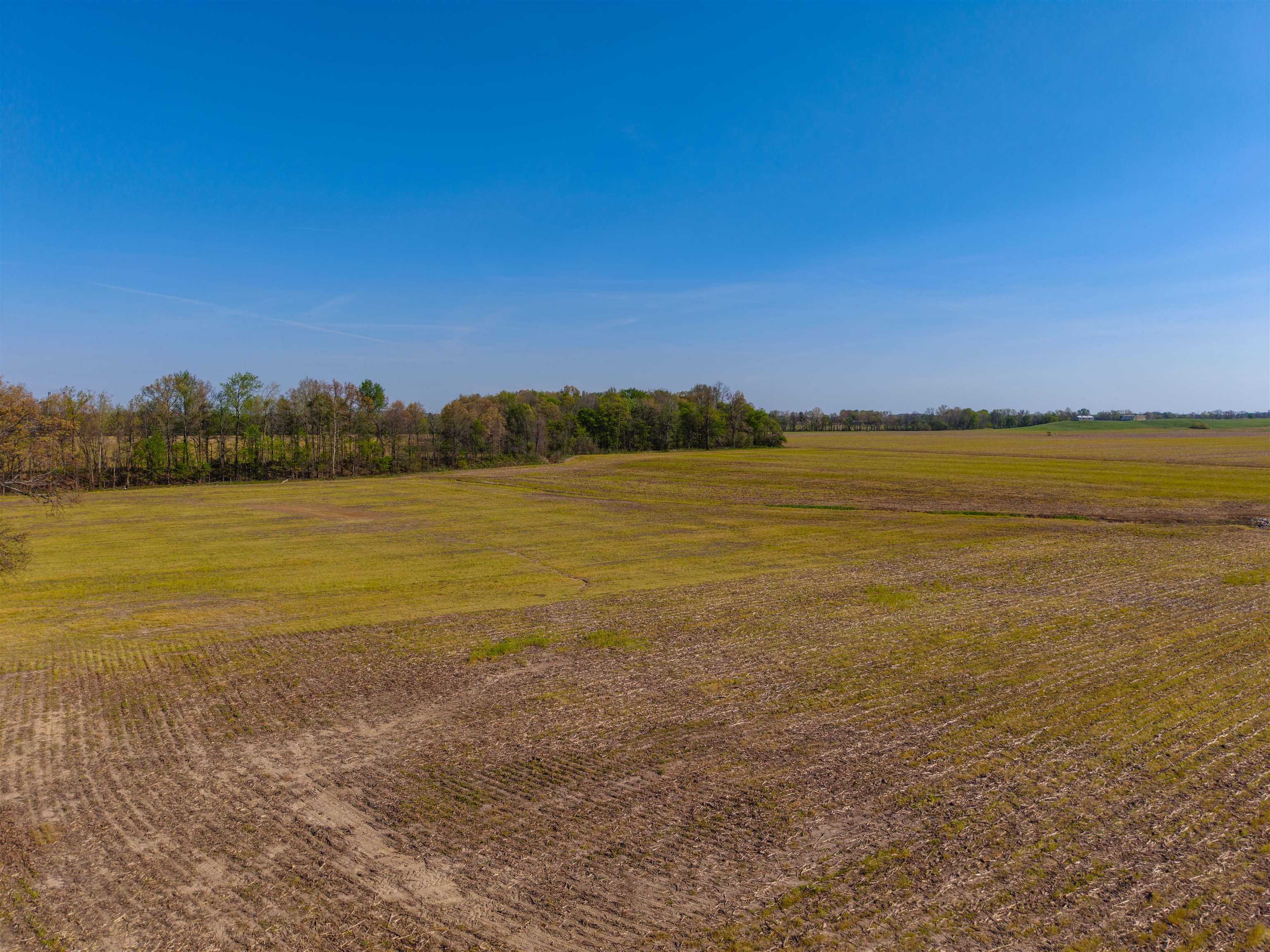0000 KY-56, Calhoun, Kentucky 42327, ,Land,For Sale,KY-56,94577