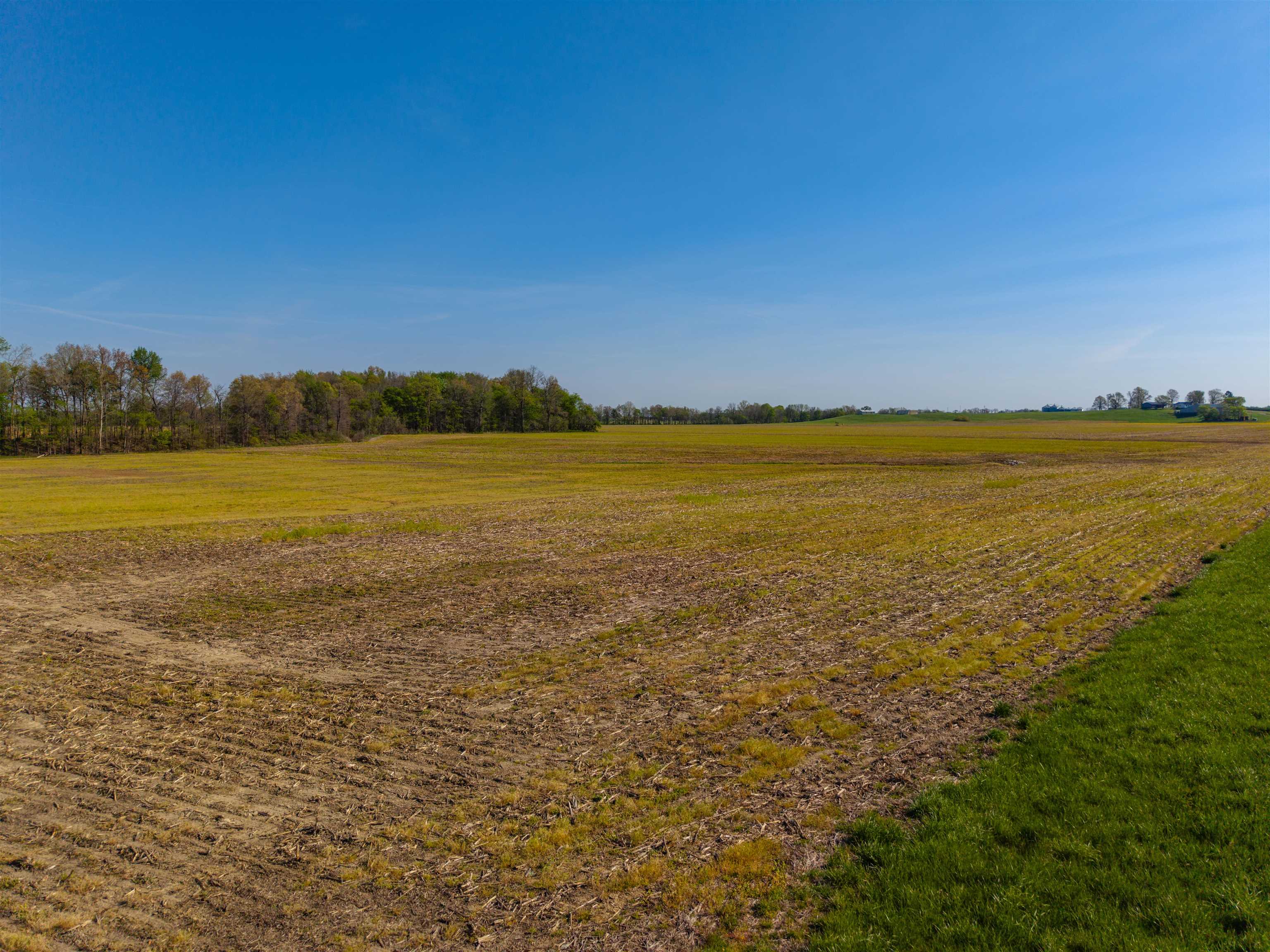 0000 KY-56, Calhoun, Kentucky 42327, ,Land,For Sale,KY-56,94577