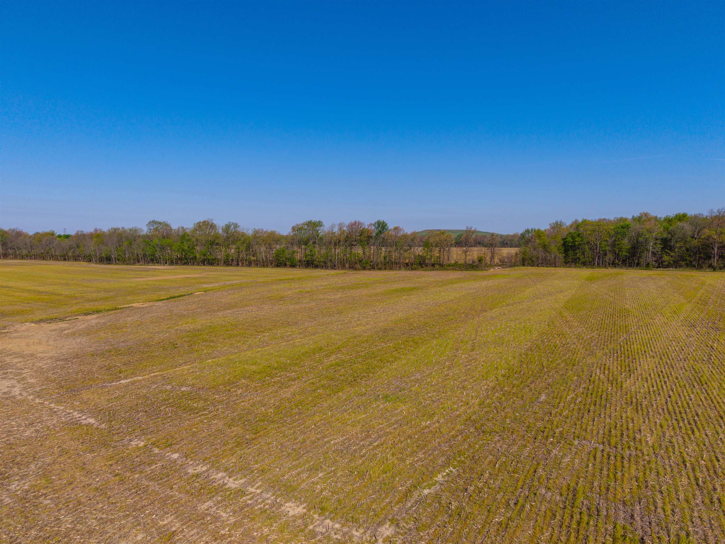 0000 KY-56, Calhoun, Kentucky 42327, ,Land,For Sale,KY-56,94577