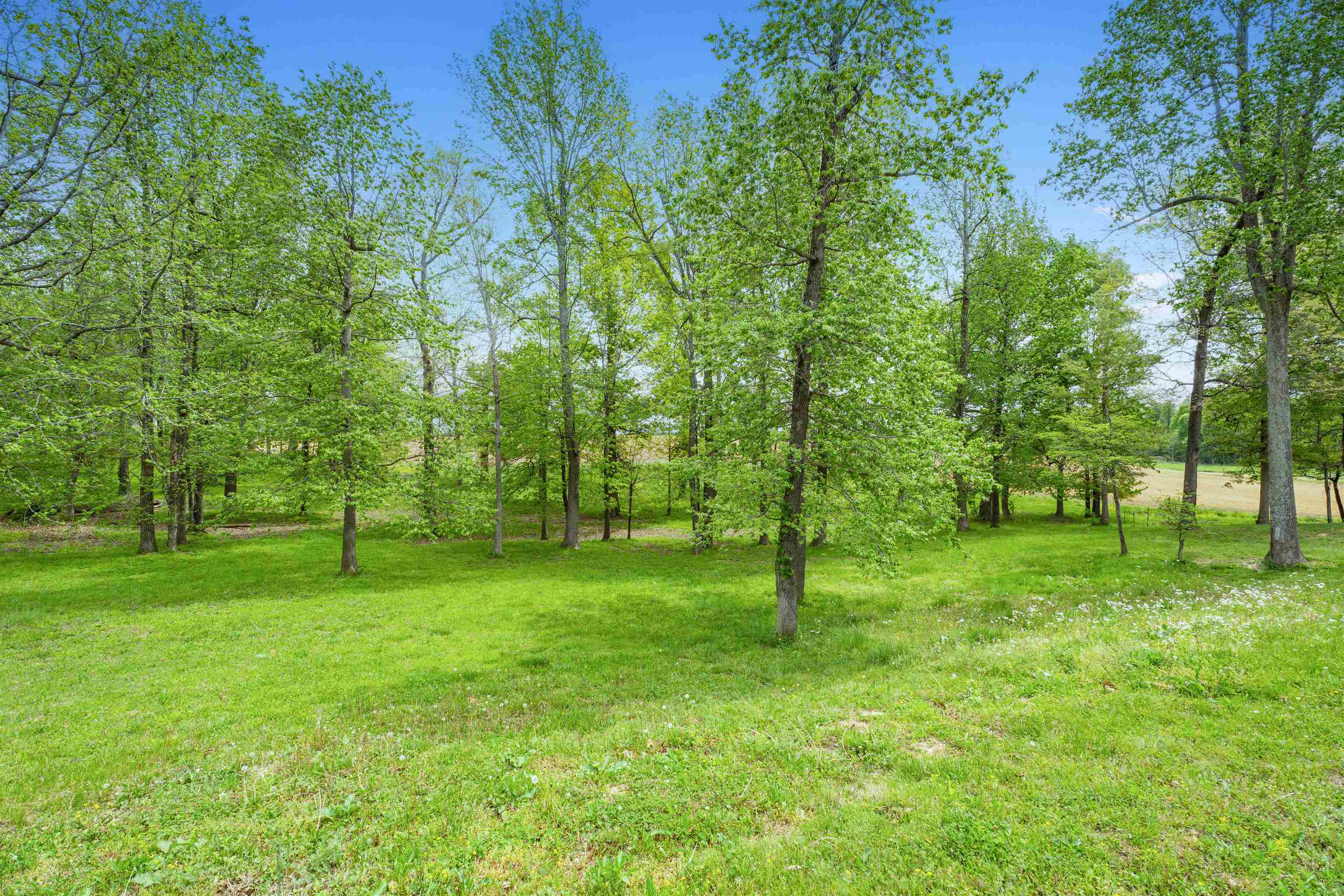 14 Big Oak Circle, Calhoun, Kentucky 42327, ,Land,For Sale,Big Oak Circle,94615
