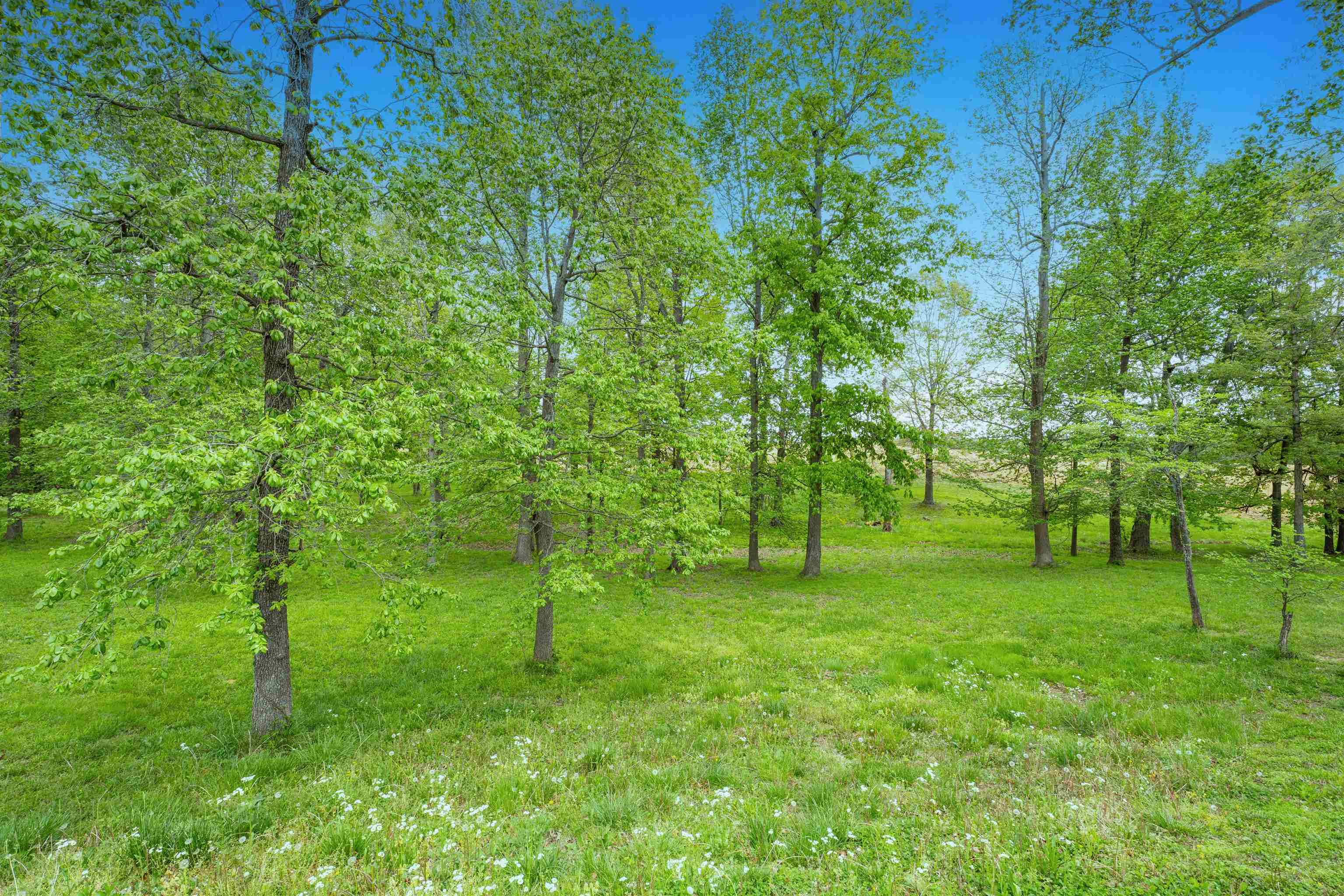 14 Big Oak Circle, Calhoun, Kentucky 42327, ,Land,For Sale,Big Oak Circle,94615