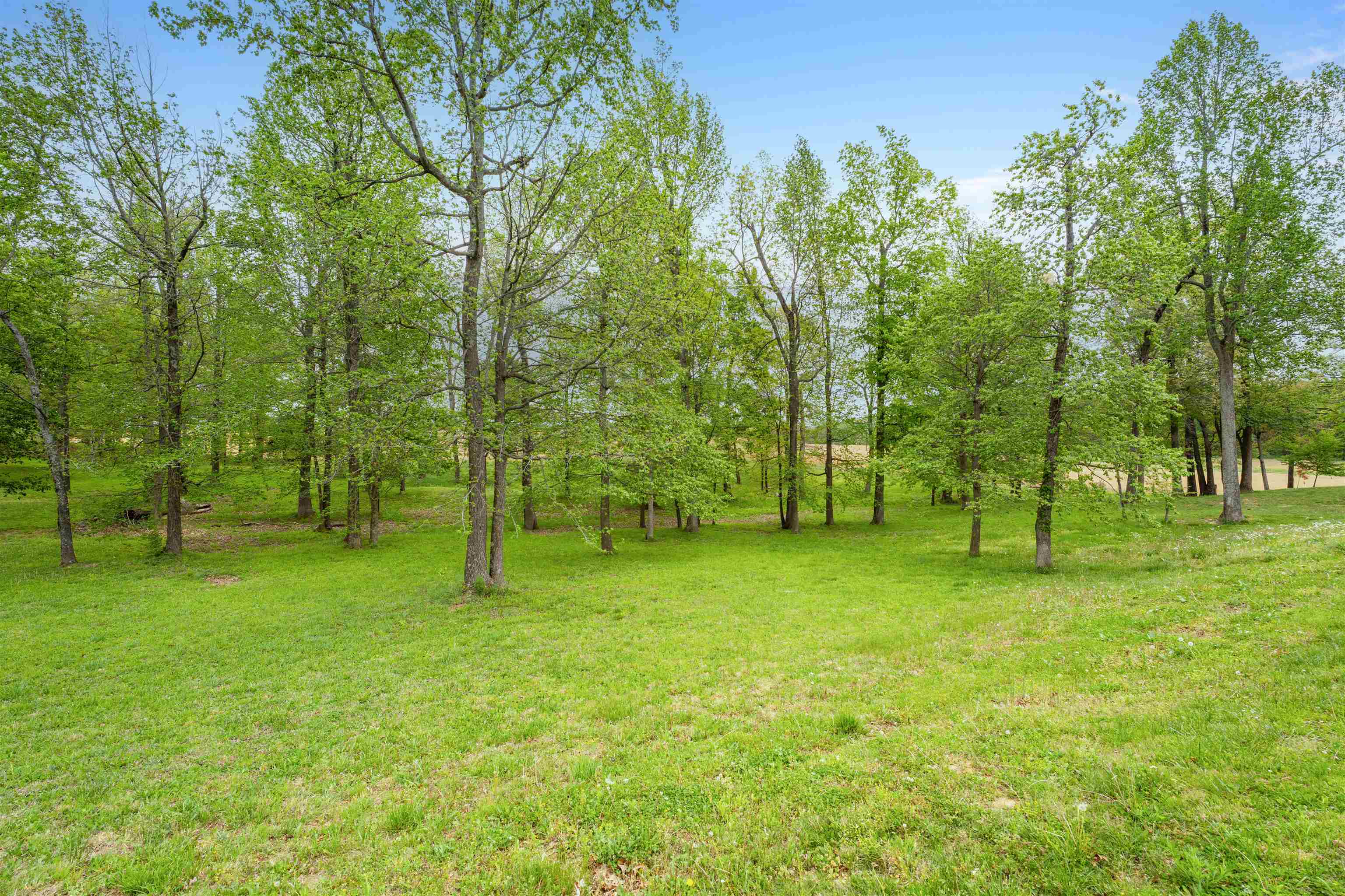 14 Big Oak Circle, Calhoun, Kentucky 42327, ,Land,For Sale,Big Oak Circle,94615