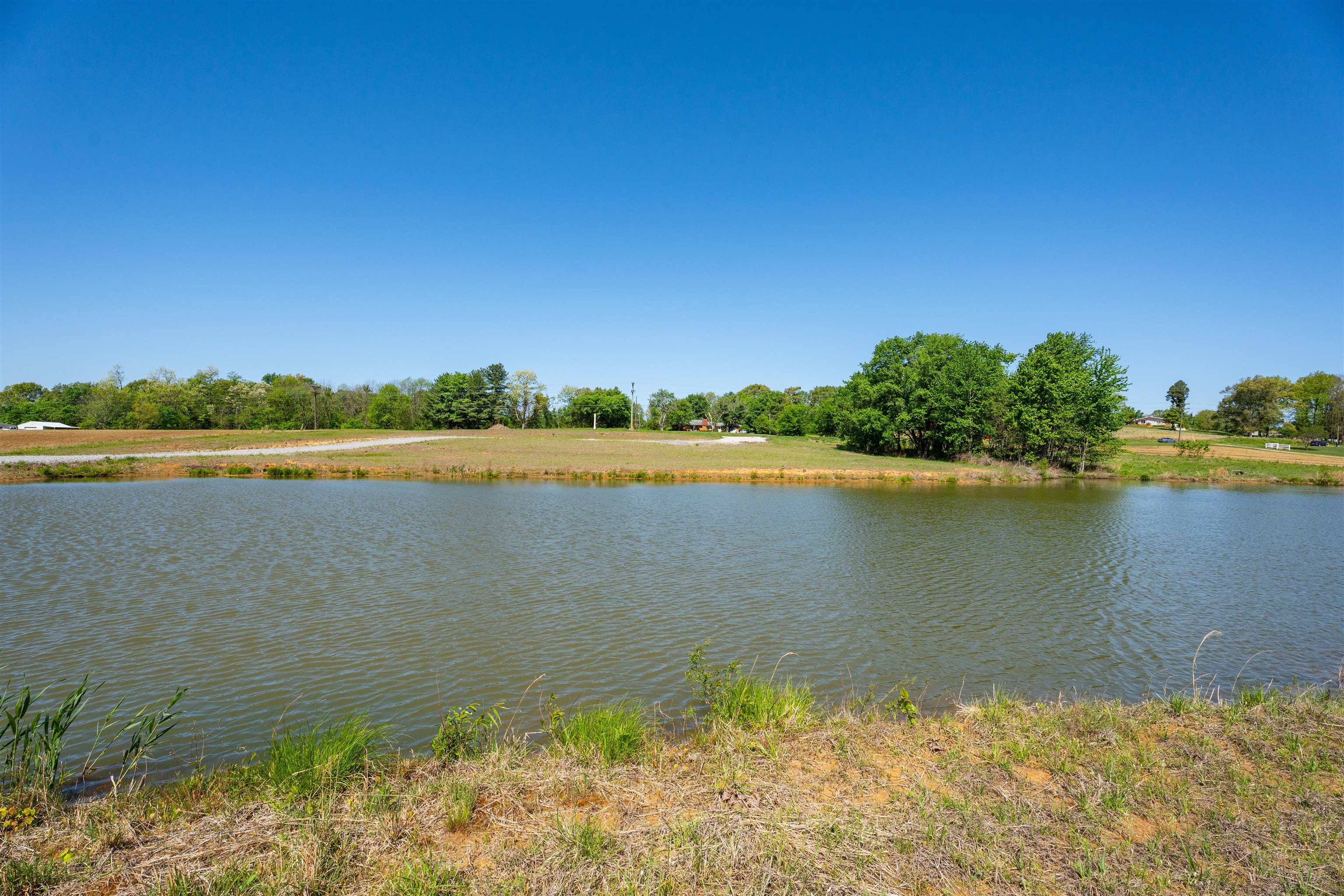 12425 HWY 431, Utica, Kentucky 42376, ,Land,For Sale,HWY 431,94617