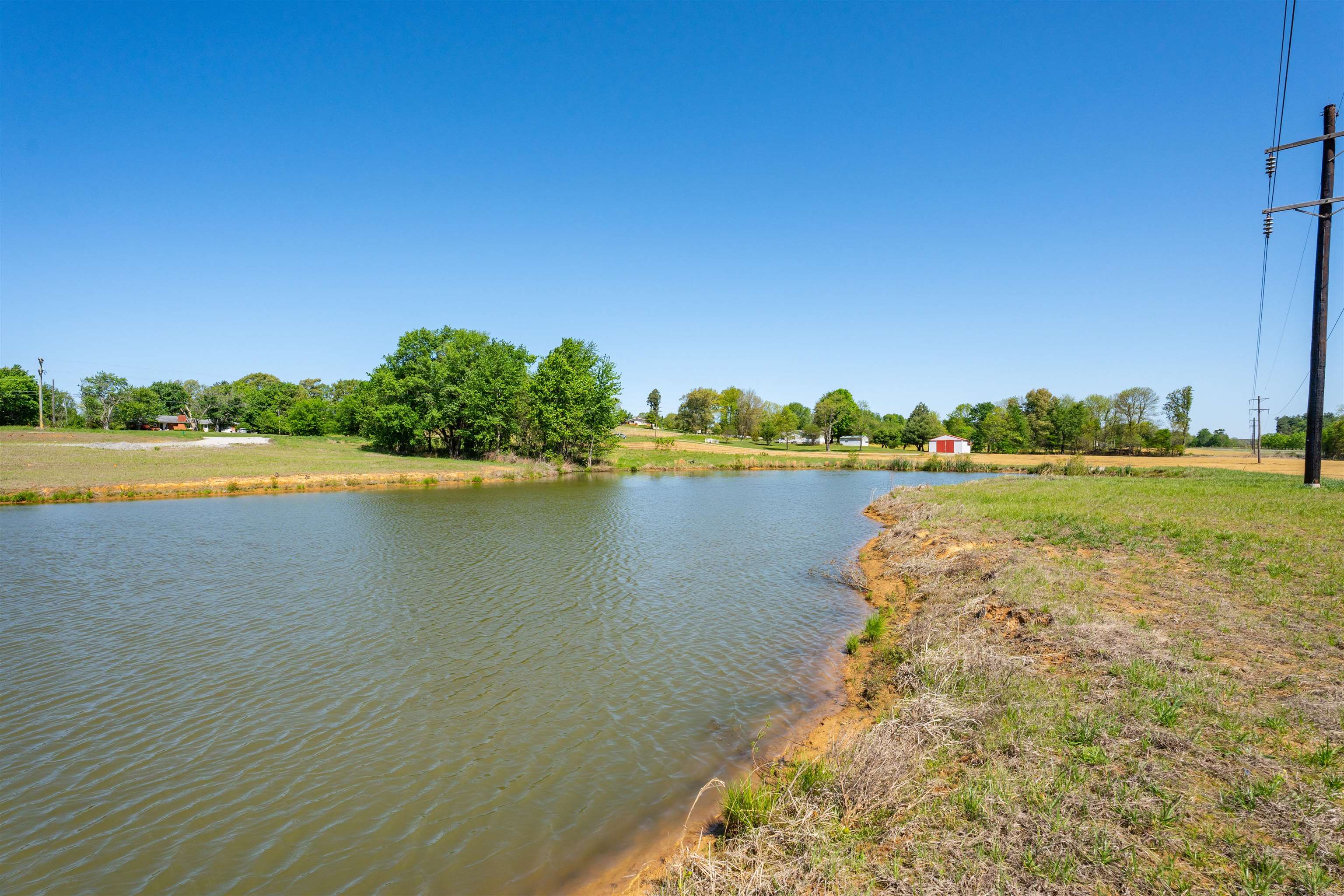 12425 HWY 431, Utica, Kentucky 42376, ,Land,For Sale,HWY 431,94617