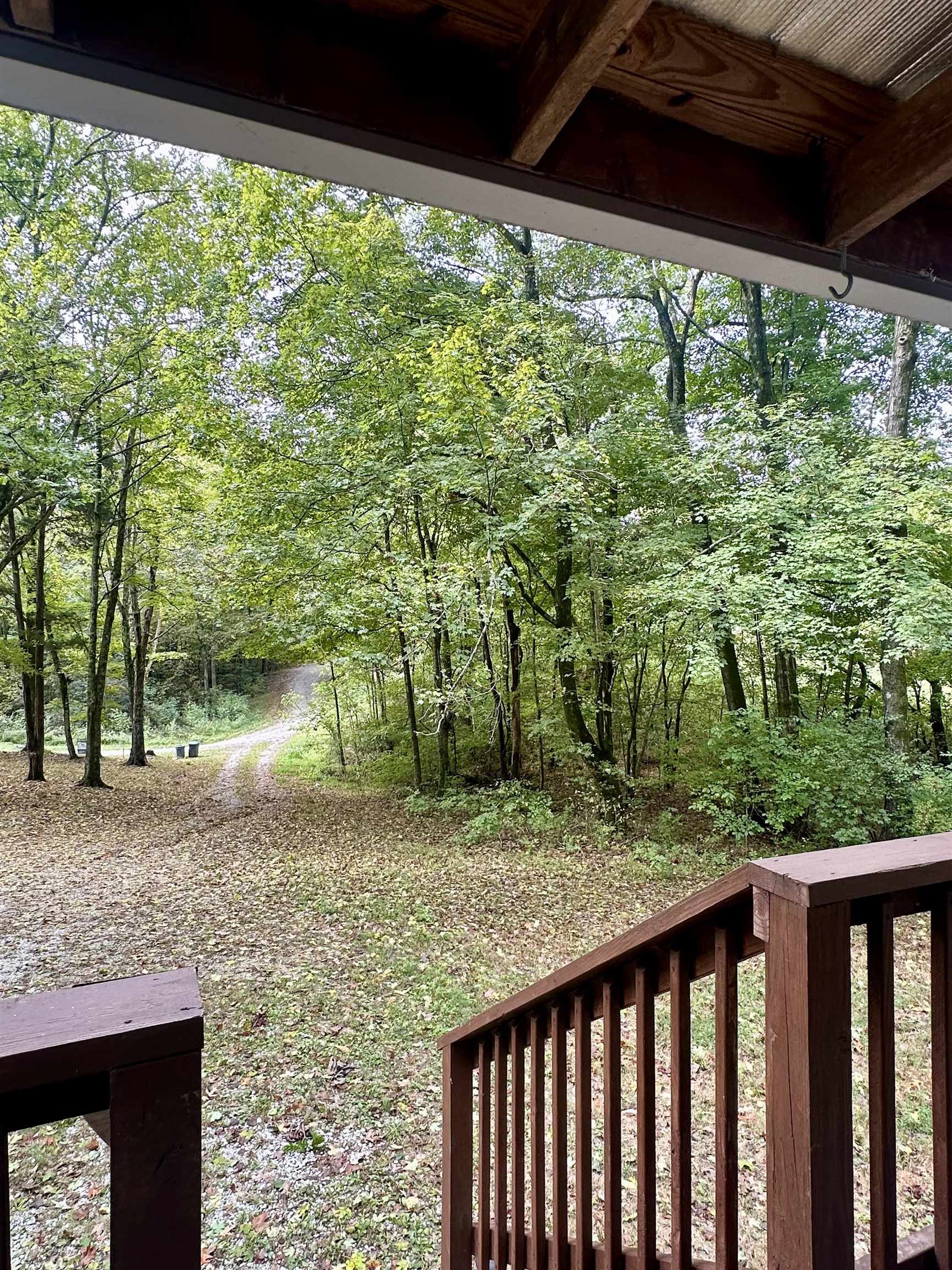 91 Phelps Drive, Cromwell, Kentucky 42347, 3 Bedrooms Bedrooms, ,2 BathroomsBathrooms,Single Family Residence,For Sale,Phelps Drive,94629