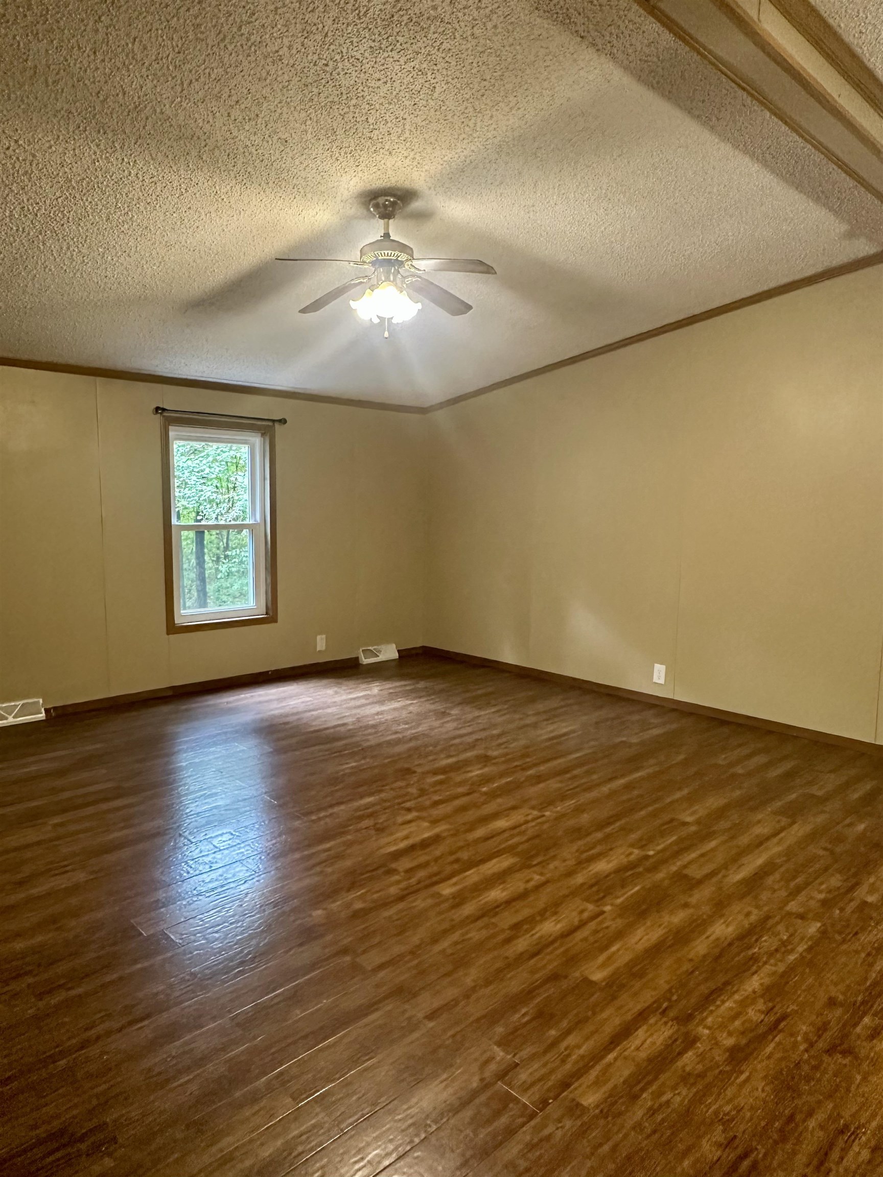 91 Phelps Drive, Cromwell, Kentucky 42347, 3 Bedrooms Bedrooms, ,2 BathroomsBathrooms,Single Family Residence,For Sale,Phelps Drive,94629