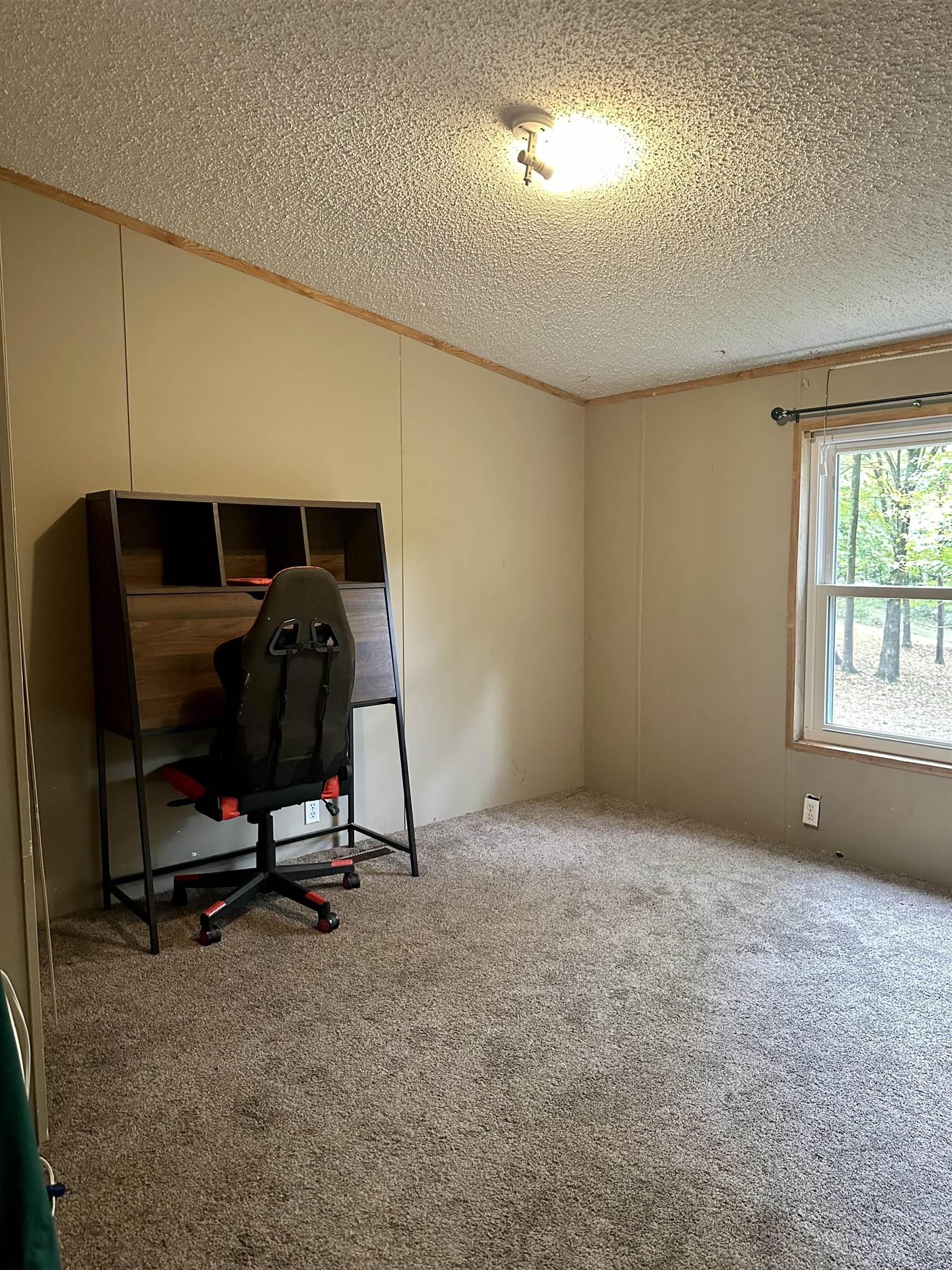 91 Phelps Drive, Cromwell, Kentucky 42347, 3 Bedrooms Bedrooms, ,2 BathroomsBathrooms,Single Family Residence,For Sale,Phelps Drive,94629