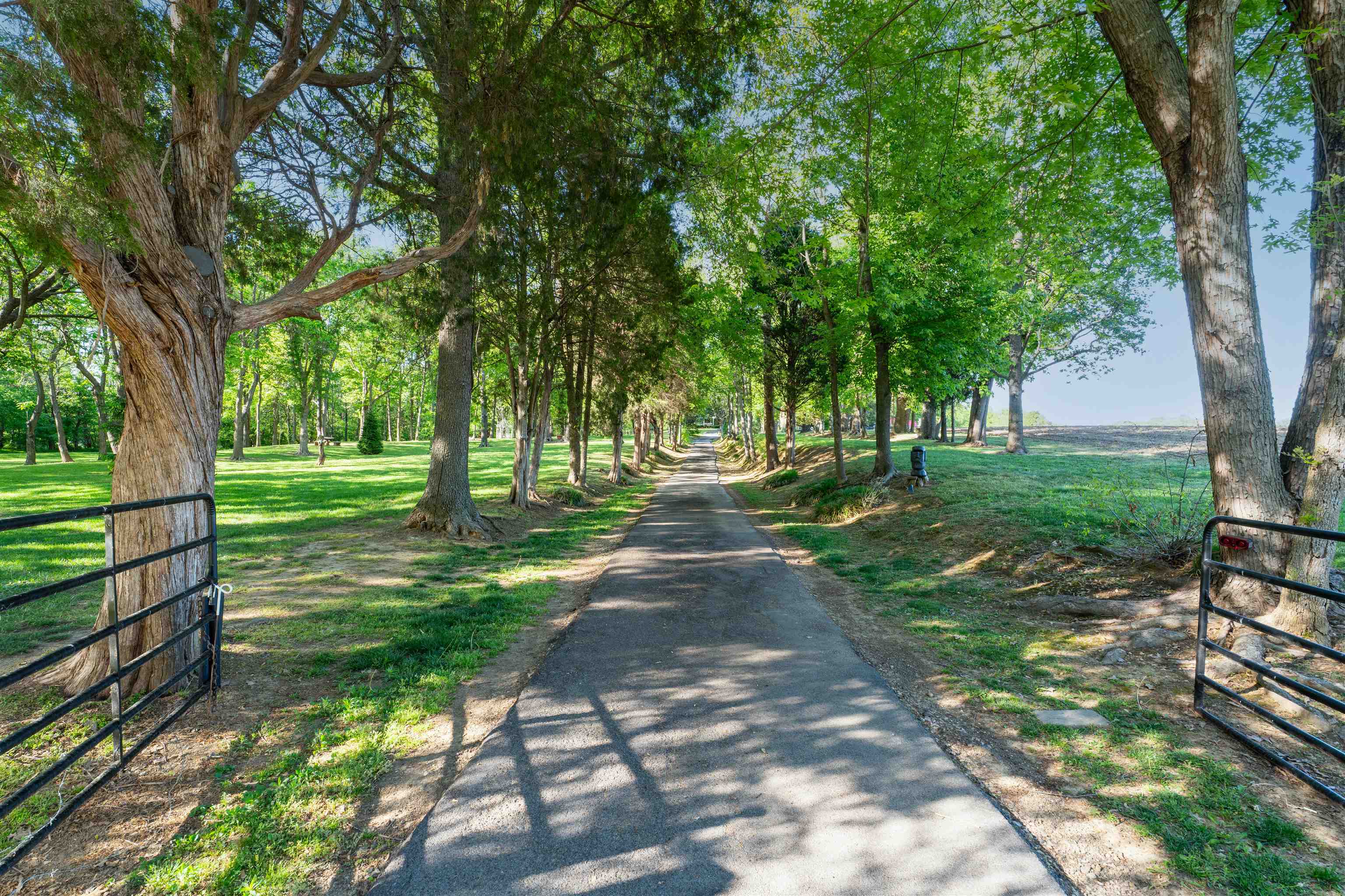 3445 Pleasant Valley Rd, Owensboro, Kentucky 42303, 5 Bedrooms Bedrooms, ,3 BathroomsBathrooms,Single Family Residence,For Sale,Pleasant Valley Rd,94632