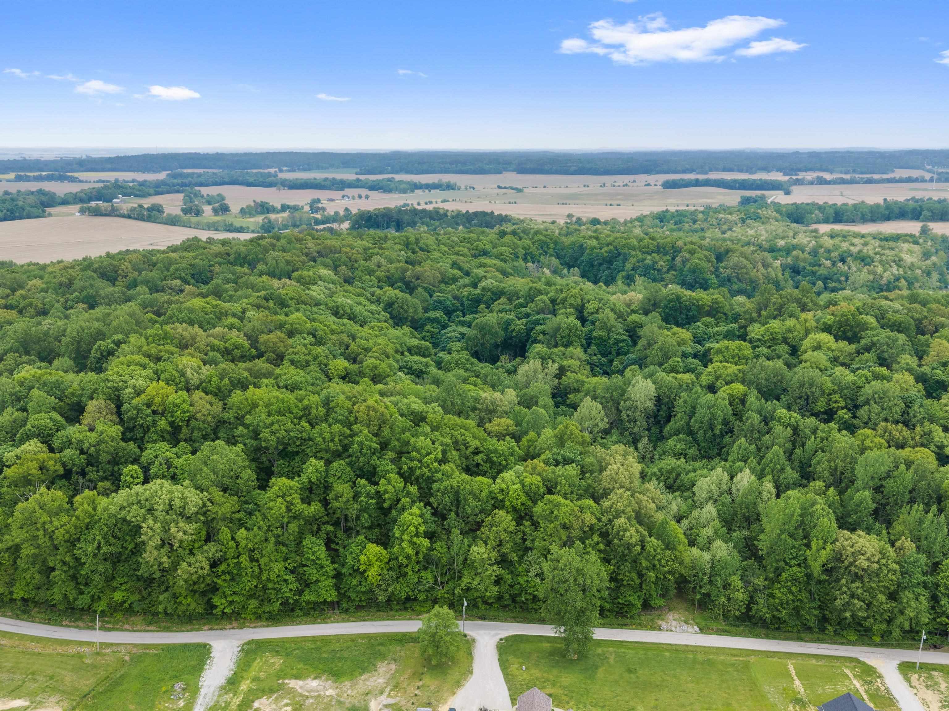 6552 Horrell Road, Owensboro, Kentucky 42301, ,Land,For Sale,Horrell Road,94710