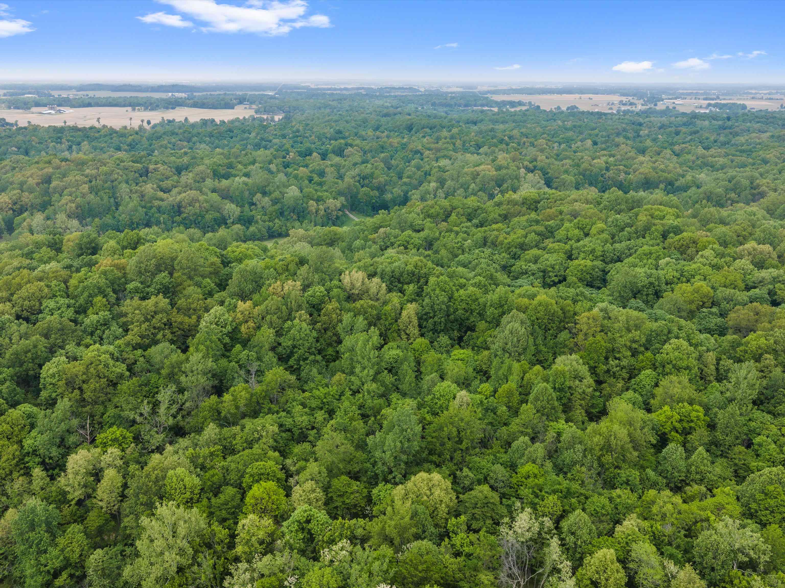 6552 Horrell Road, Owensboro, Kentucky 42301, ,Land,For Sale,Horrell Road,94710