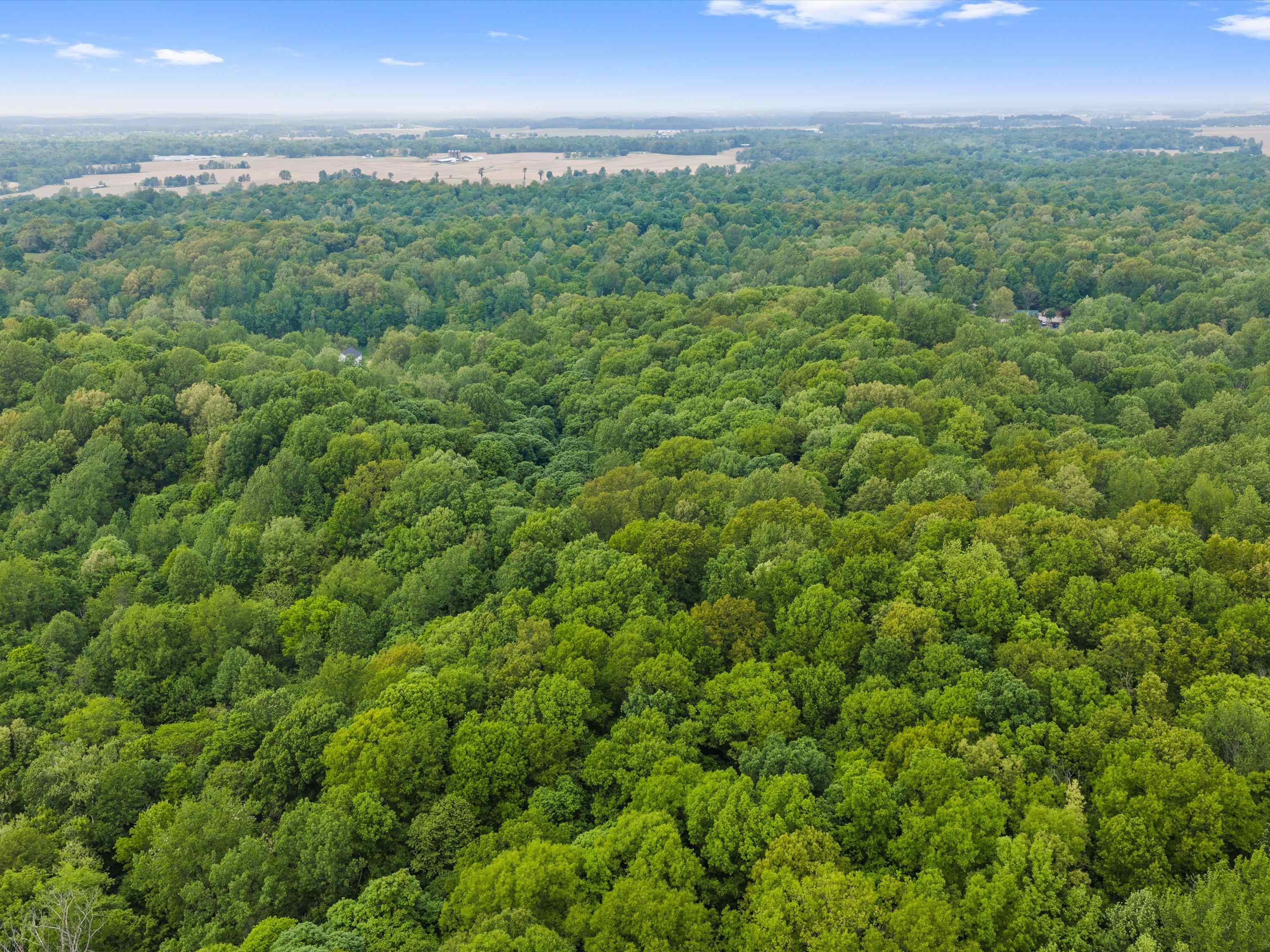 6552 Horrell Road, Owensboro, Kentucky 42301, ,Land,For Sale,Horrell Road,94710