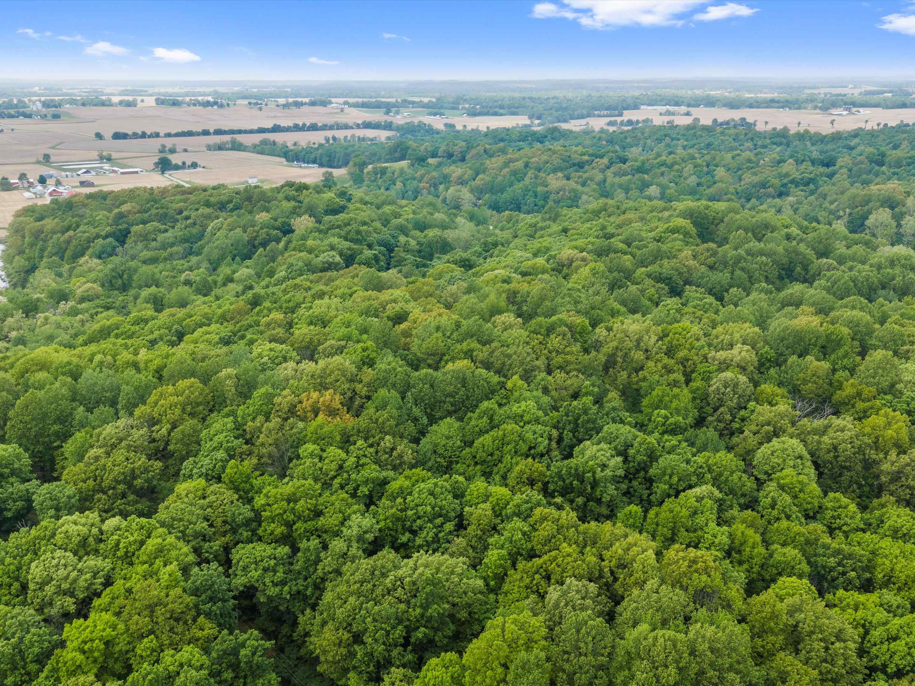 6552 Horrell Road, Owensboro, Kentucky 42301, ,Land,For Sale,Horrell Road,94710