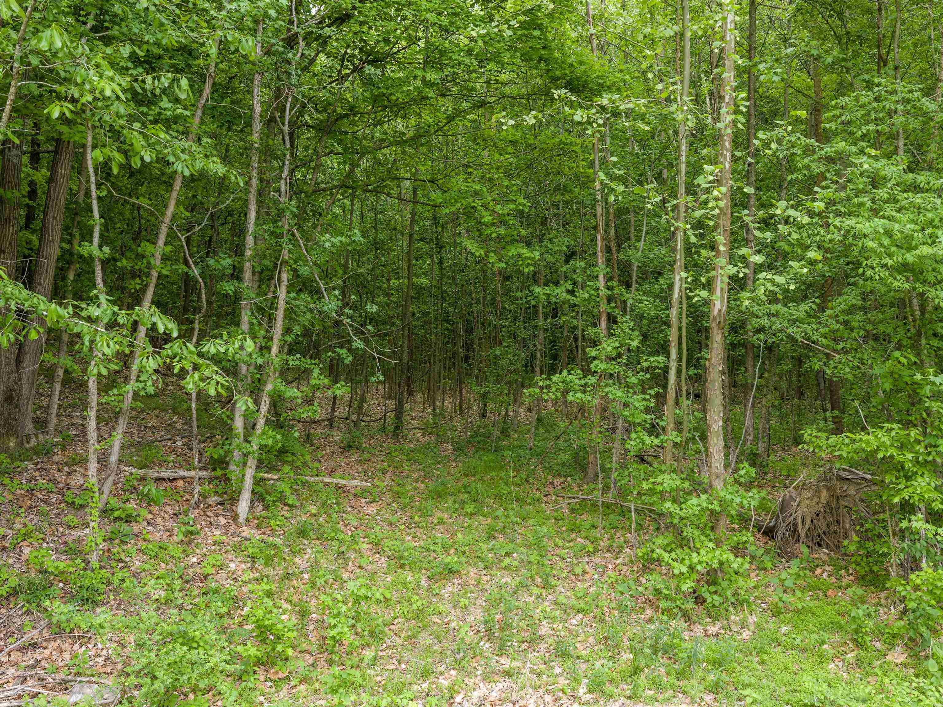 6552 Horrell Road, Owensboro, Kentucky 42301, ,Land,For Sale,Horrell Road,94710
