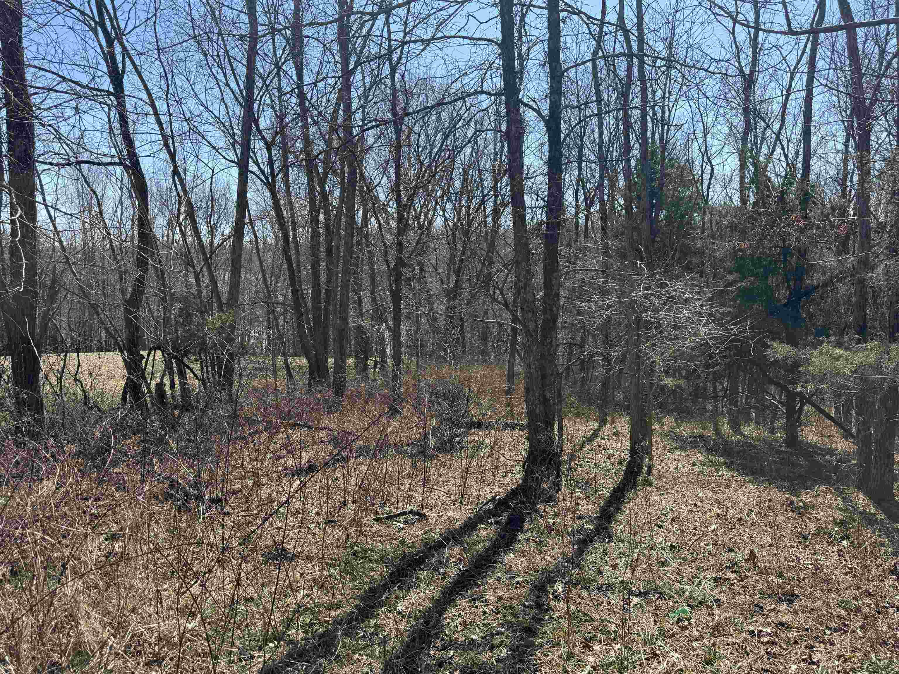 Lot 1 Landings Court, other, Kentucky 40078, ,Land,For Sale,Landings Court,94766