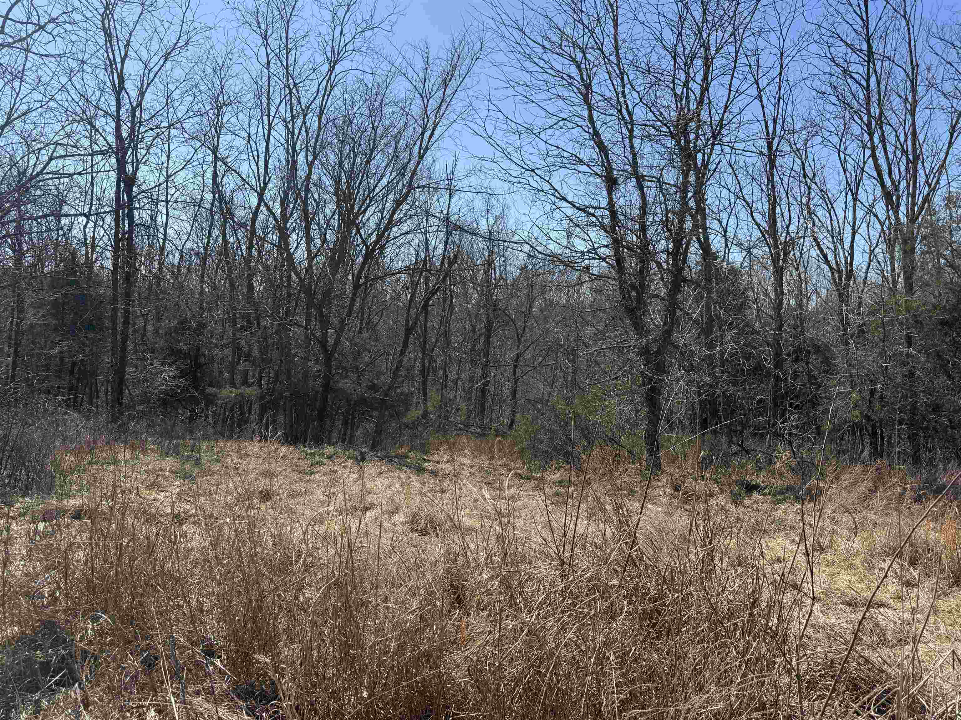 Lot 1 Landings Court, other, Kentucky 40078, ,Land,For Sale,Landings Court,94766