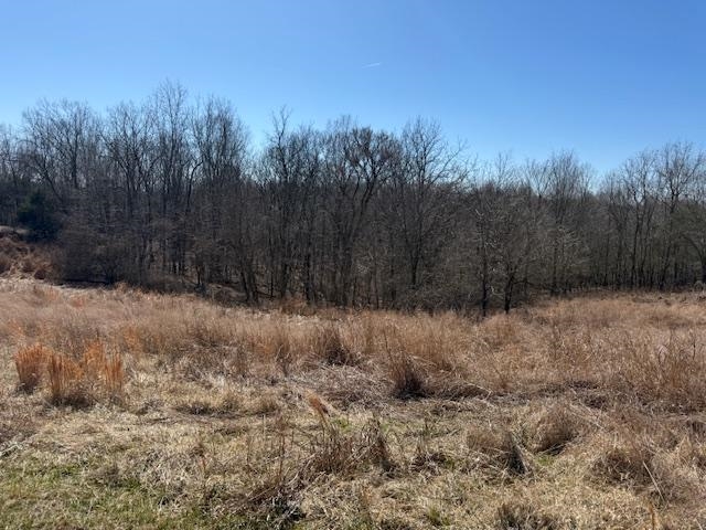 Lot 6 Landings Court, other, Kentucky 40078, ,Land,For Sale,Landings Court,94767