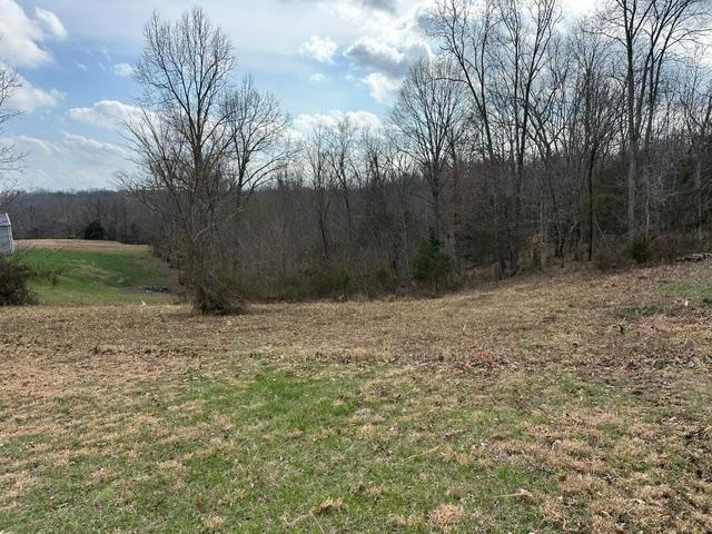 Lot 6 Landings Court, other, Kentucky 40078, ,Land,For Sale,Landings Court,94767