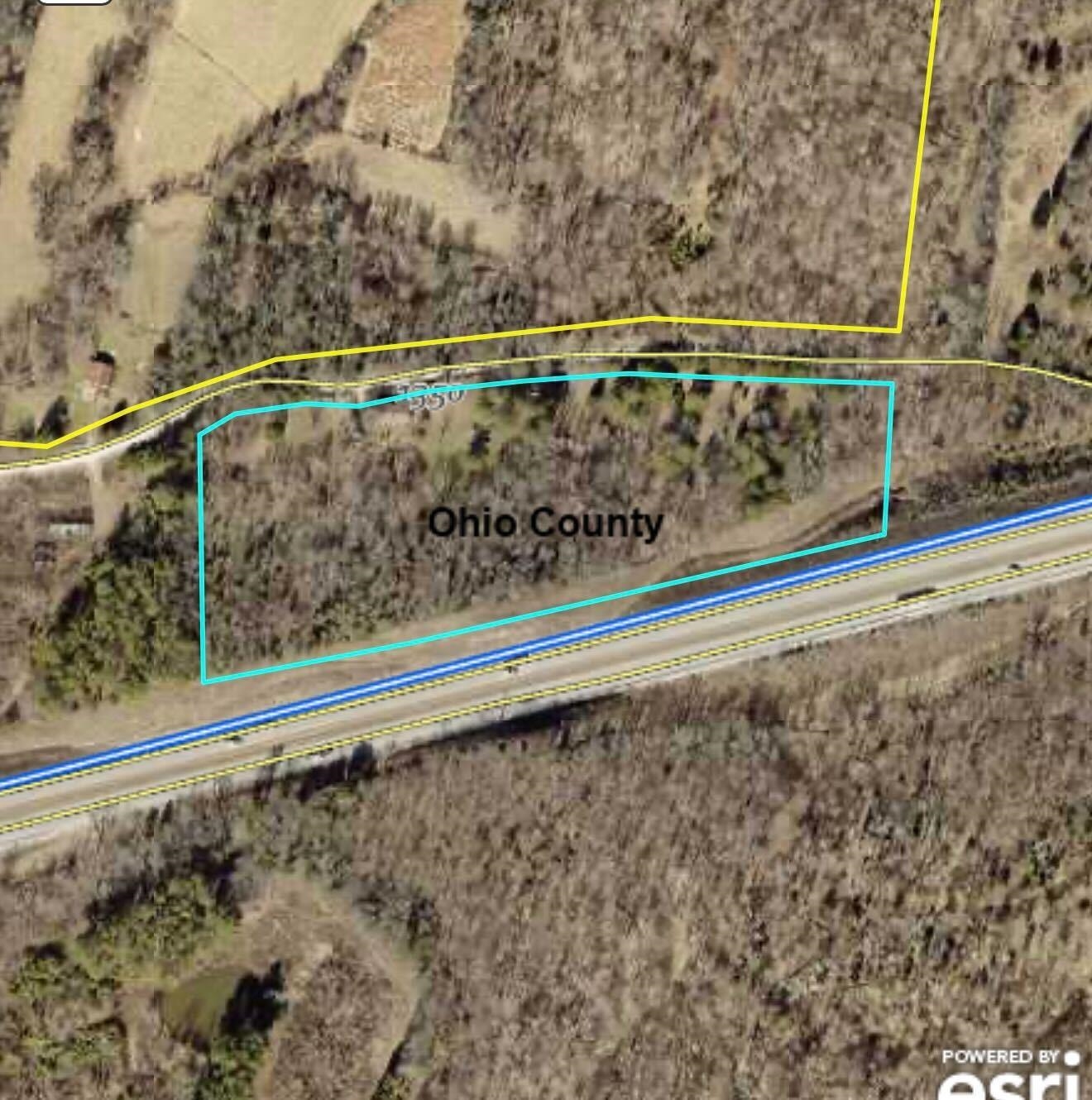1146 Neafus Rd, Horse Branch, Kentucky 42349, ,Land,For Sale,Neafus Rd,94782