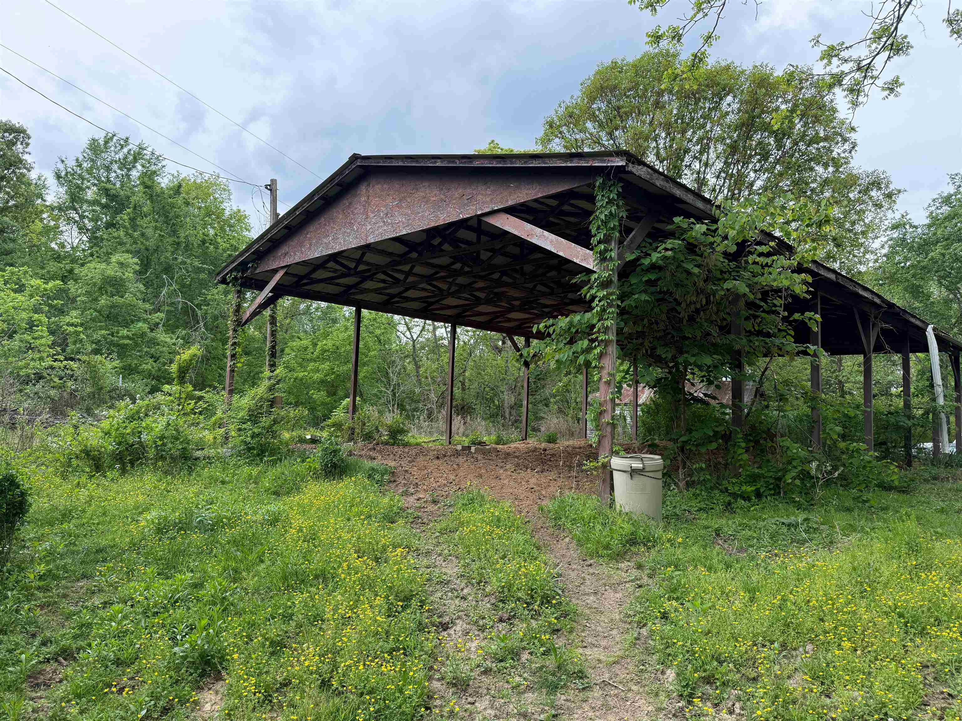 1146 Neafus Rd, Horse Branch, Kentucky 42349, ,Land,For Sale,Neafus Rd,94782