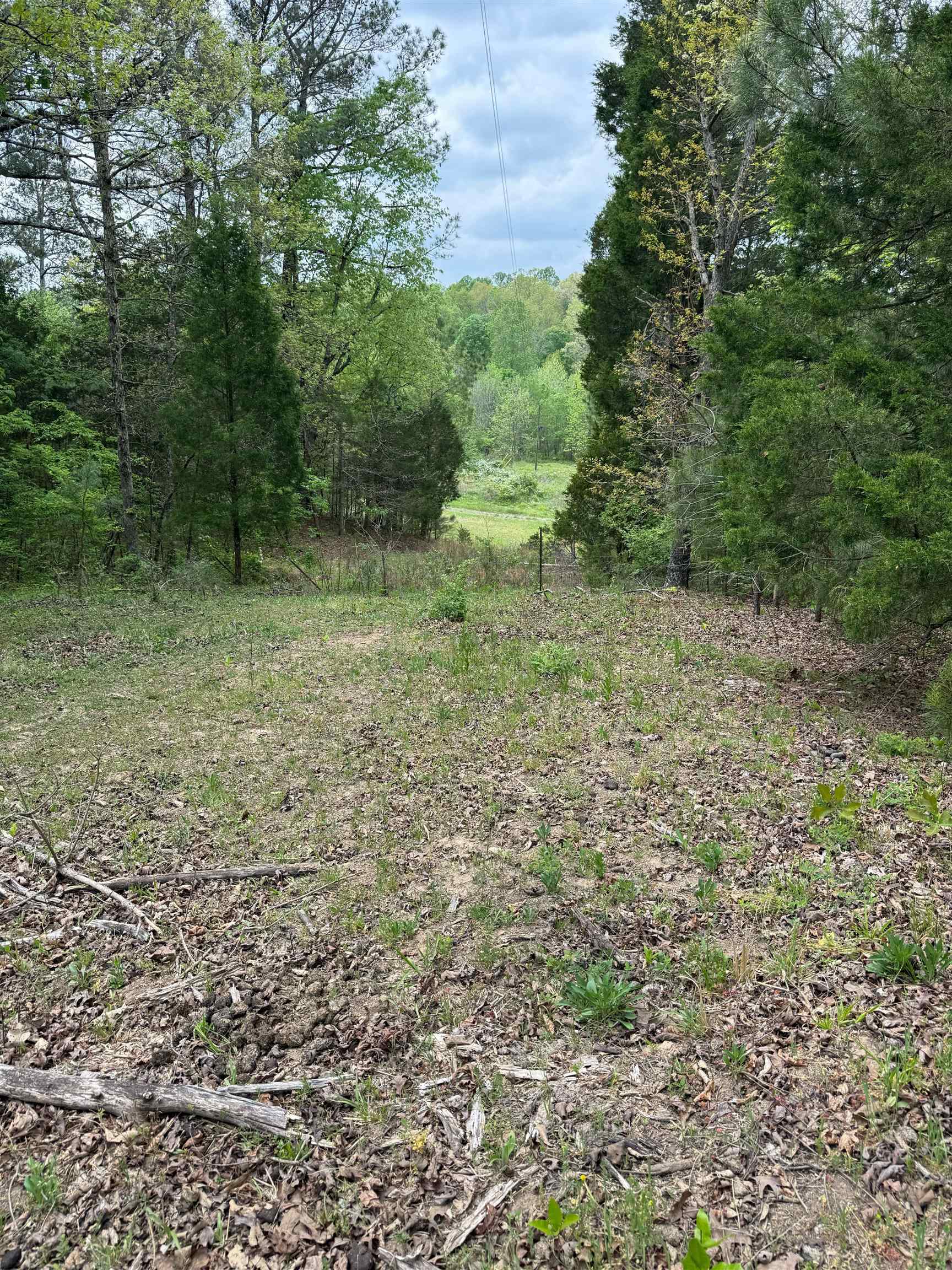 1146 Neafus Rd, Horse Branch, Kentucky 42349, ,Land,For Sale,Neafus Rd,94782