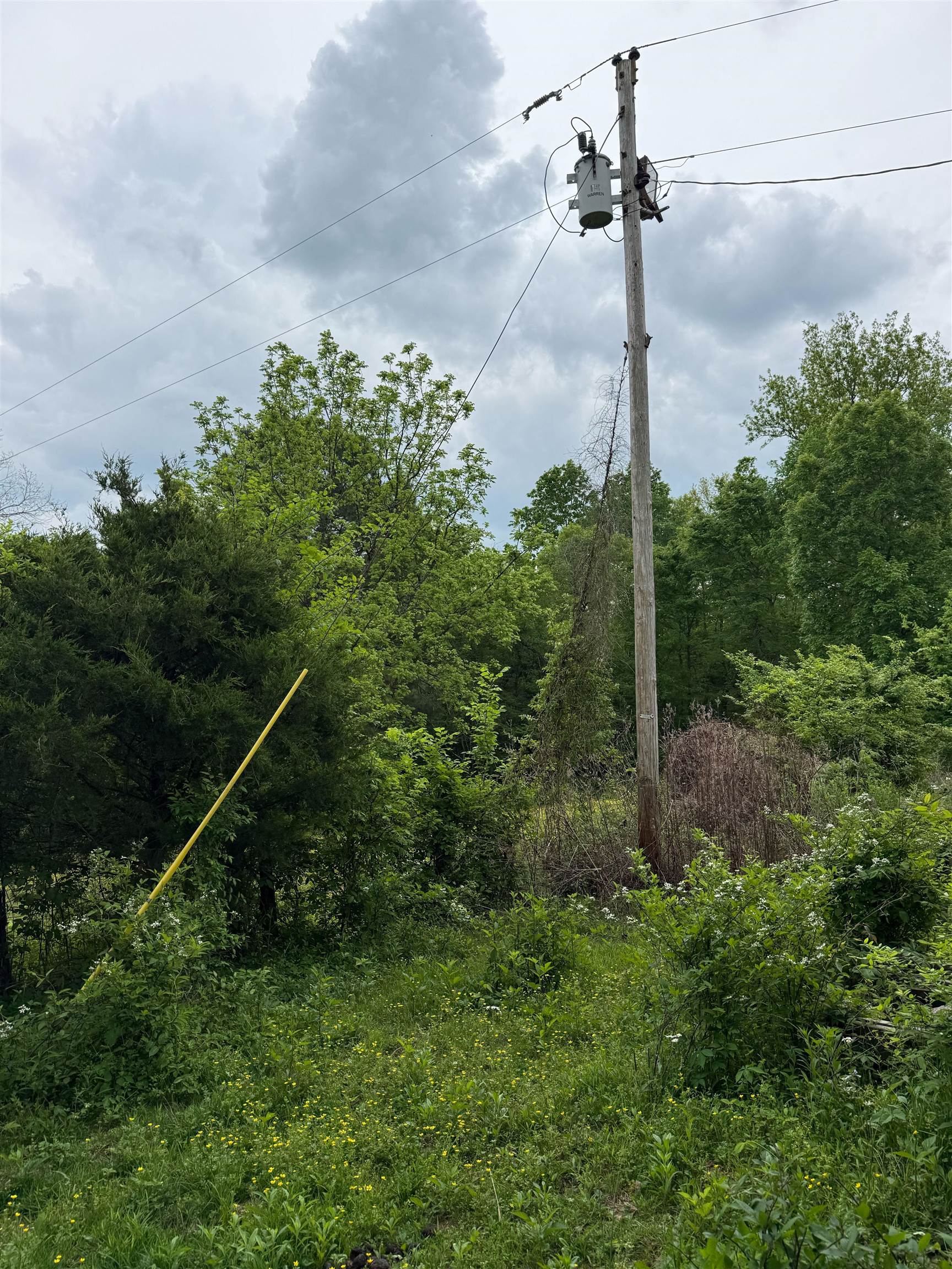 1146 Neafus Rd, Horse Branch, Kentucky 42349, ,Land,For Sale,Neafus Rd,94782