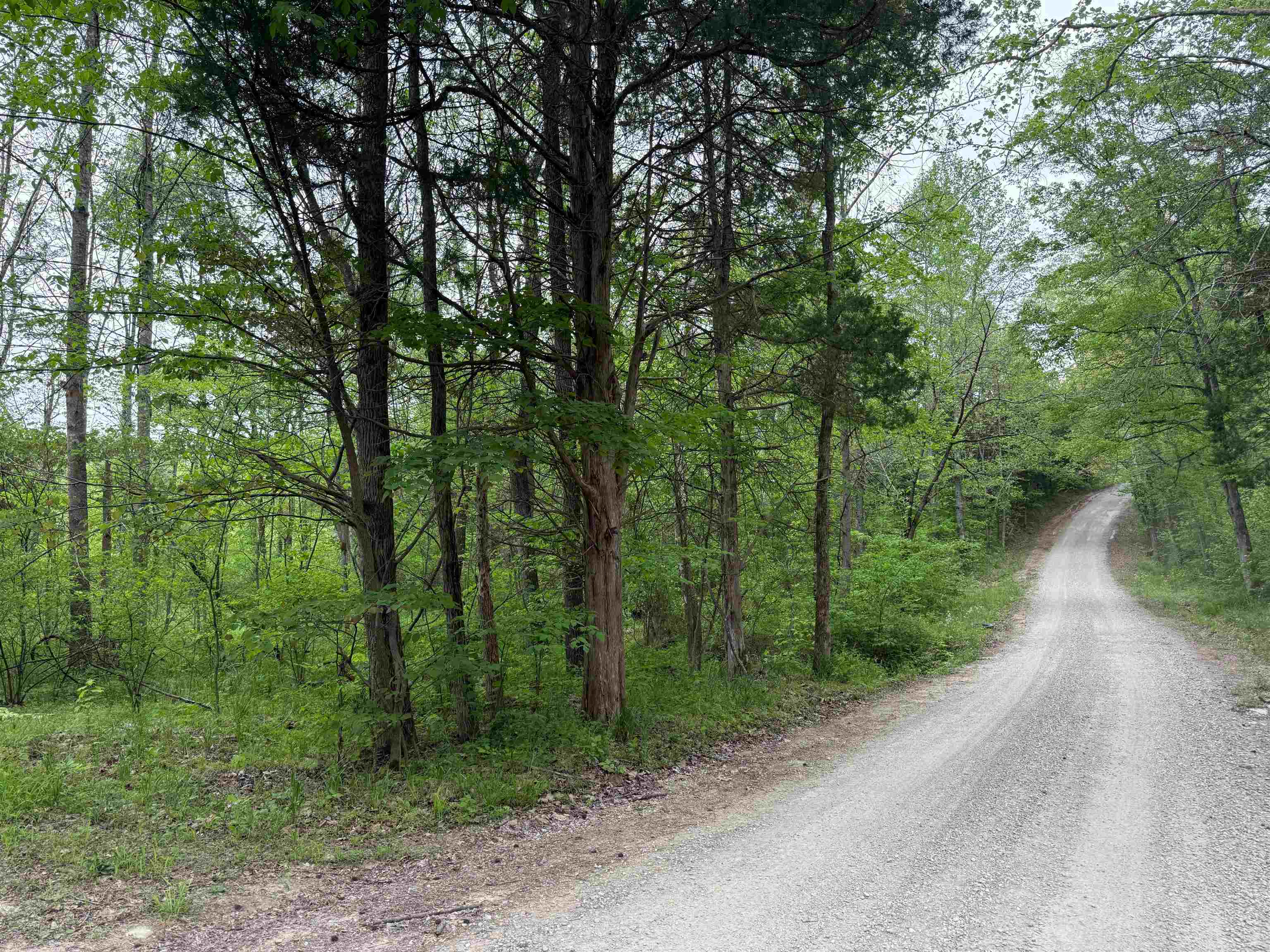 1146 Neafus Rd, Horse Branch, Kentucky 42349, ,Land,For Sale,Neafus Rd,94782
