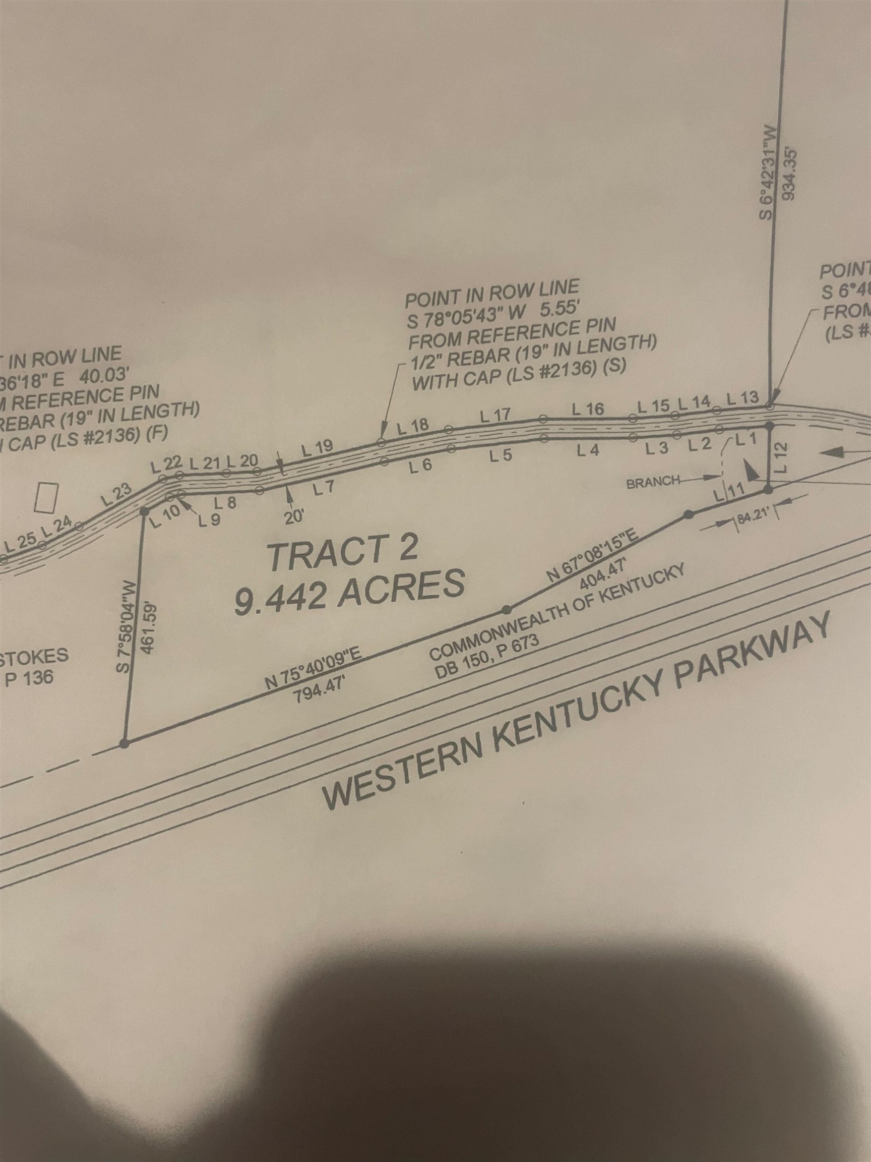 1146 Neafus Rd, Horse Branch, Kentucky 42349, ,Land,For Sale,Neafus Rd,94782