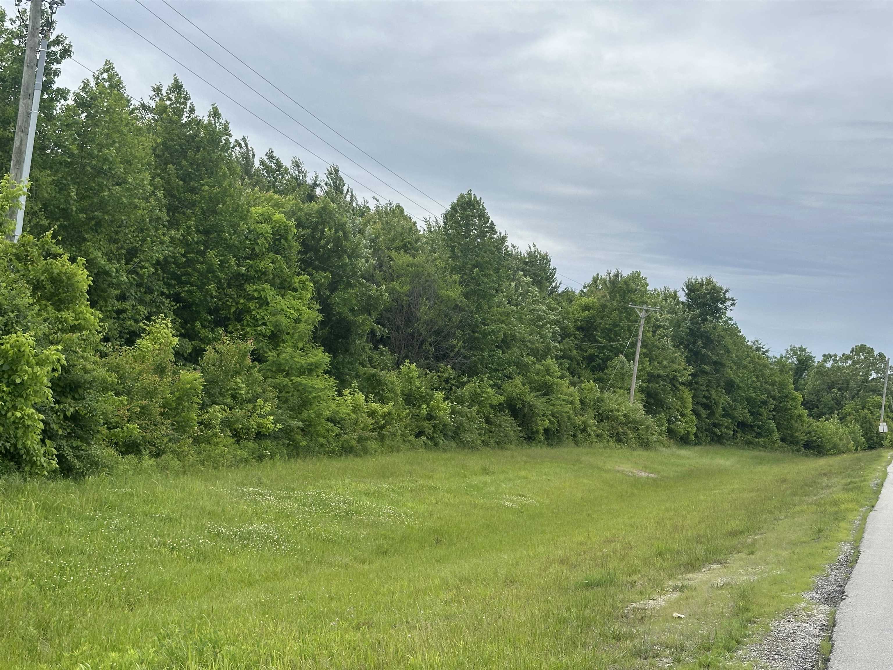 6401 Old New Cut Rd, Louisville, Kentucky 40118, ,Land,For Sale,Old New Cut Rd,94814