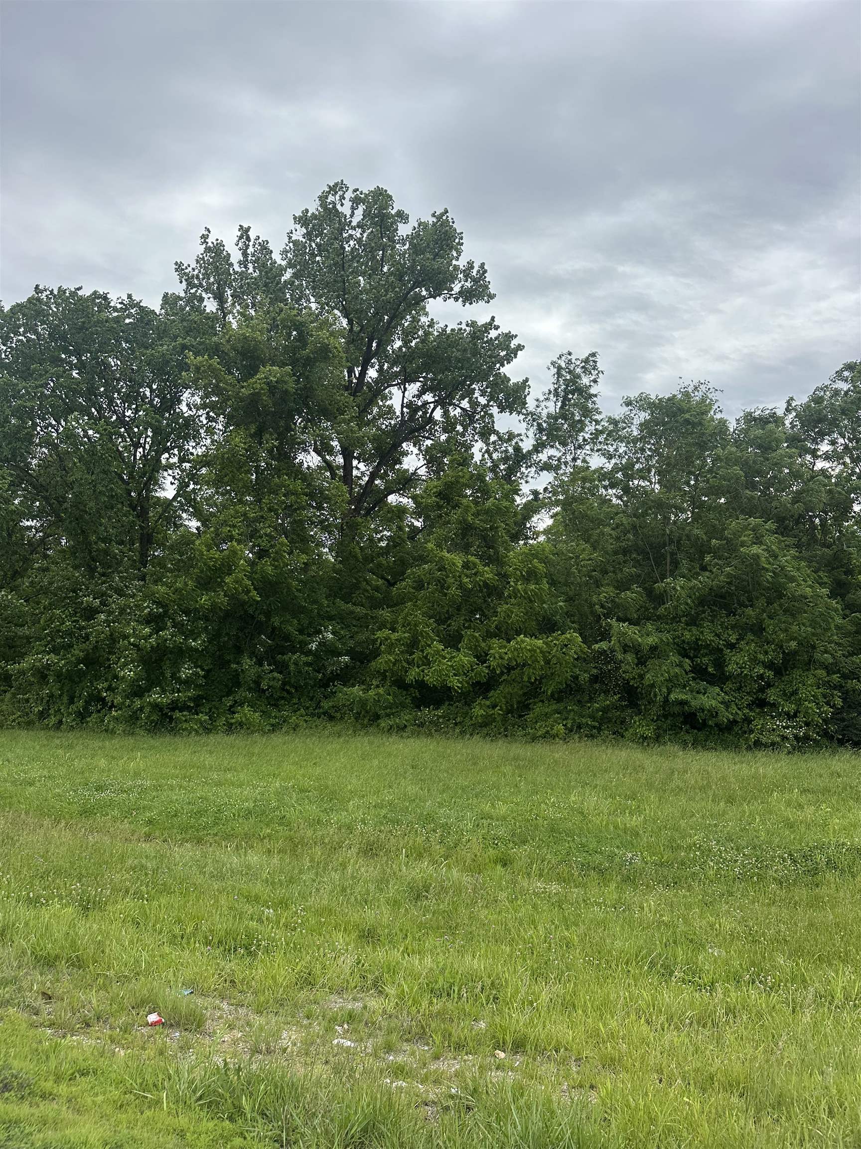6401 Old New Cut Rd, Louisville, Kentucky 40118, ,Land,For Sale,Old New Cut Rd,94814