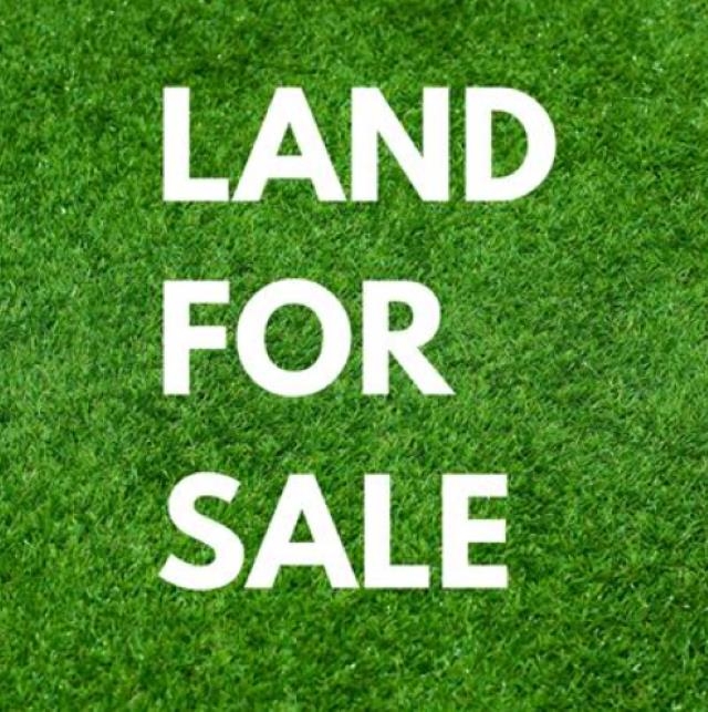 11419 Hwy 144, Philpot, Kentucky 42366, ,Land,For Sale,Hwy 144,94831