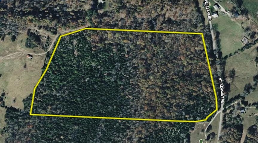 0 Mt. Pleasant Rd., Cromwell, Kentucky 42333, ,Land,For Sale,Mt. Pleasant Rd.,94832